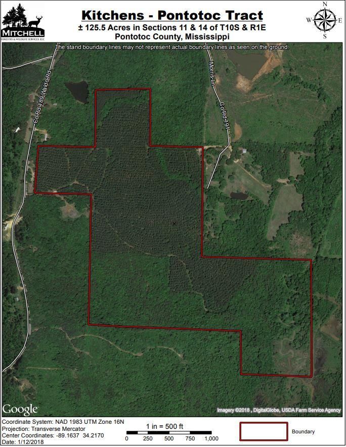 Randolph, Pontotoc County, MS Recreational Property, Timberland