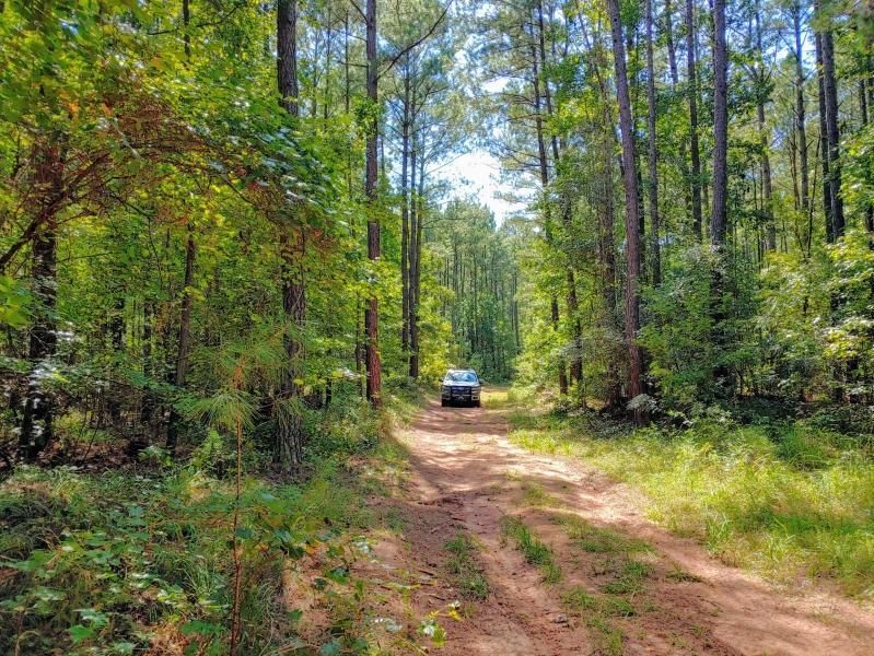 Crawfordville, Taliaferro County, GA Recreational Property, Timberland Property, Hunting