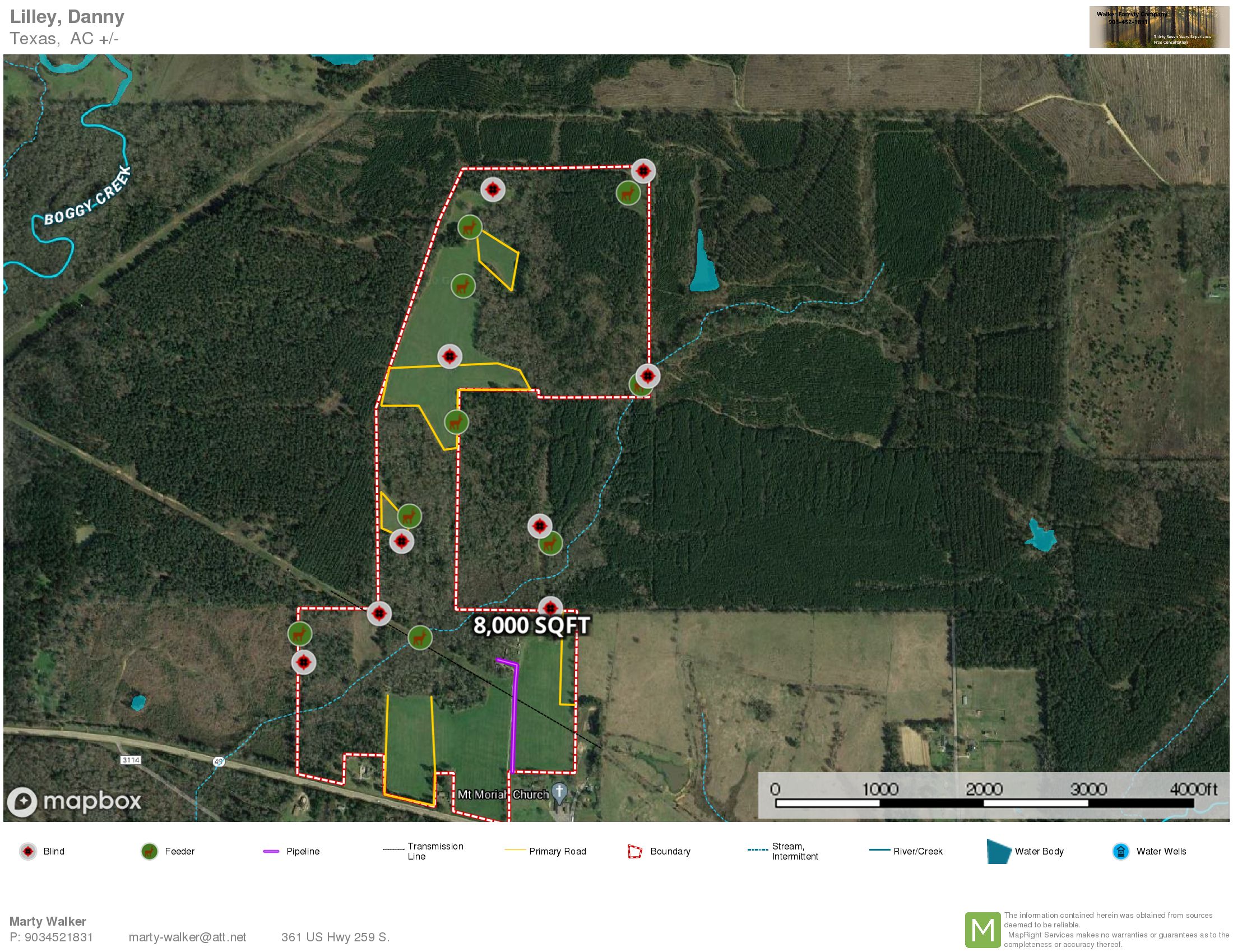Daingerfield, Morris County, TX Recreational Property, Timberland