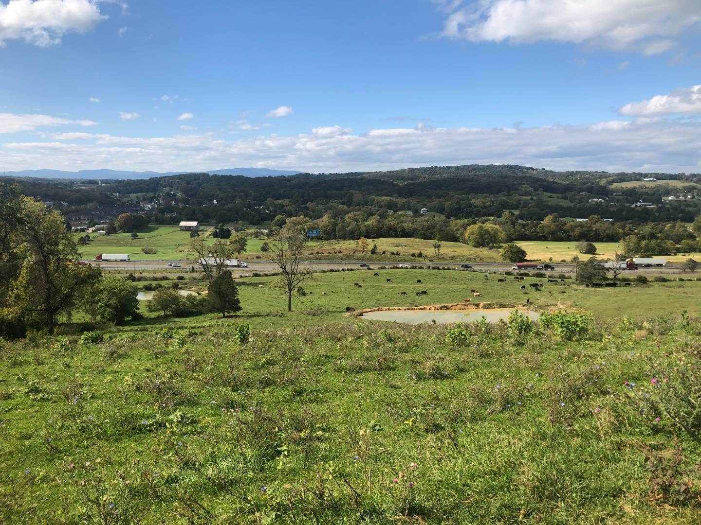 Harrisonburg, Harrisonburg City County, VA Farms and Ranches, House for