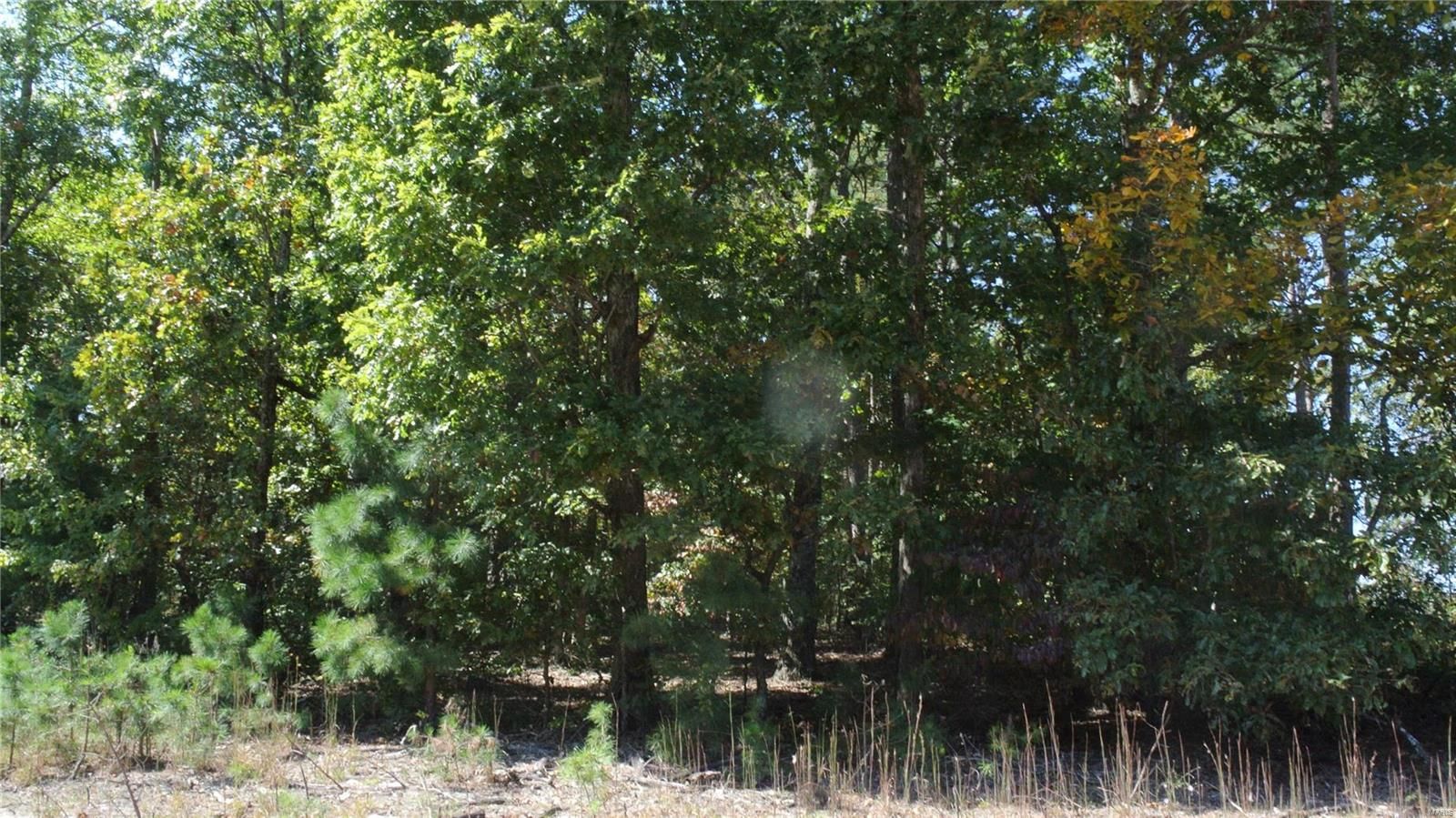 Grandin, Carter County, MO Farms and Ranches for sale Property ID