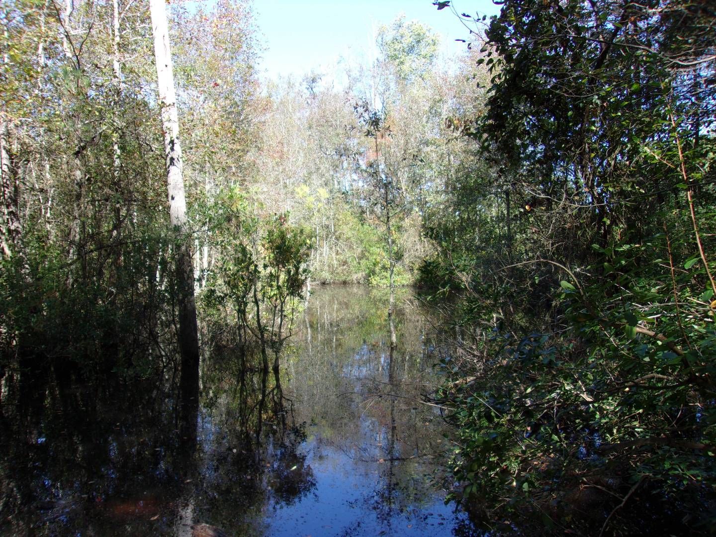 Aiken, Aiken County, SC Undeveloped Land, Lakefront Property, Waterfront Property for sale