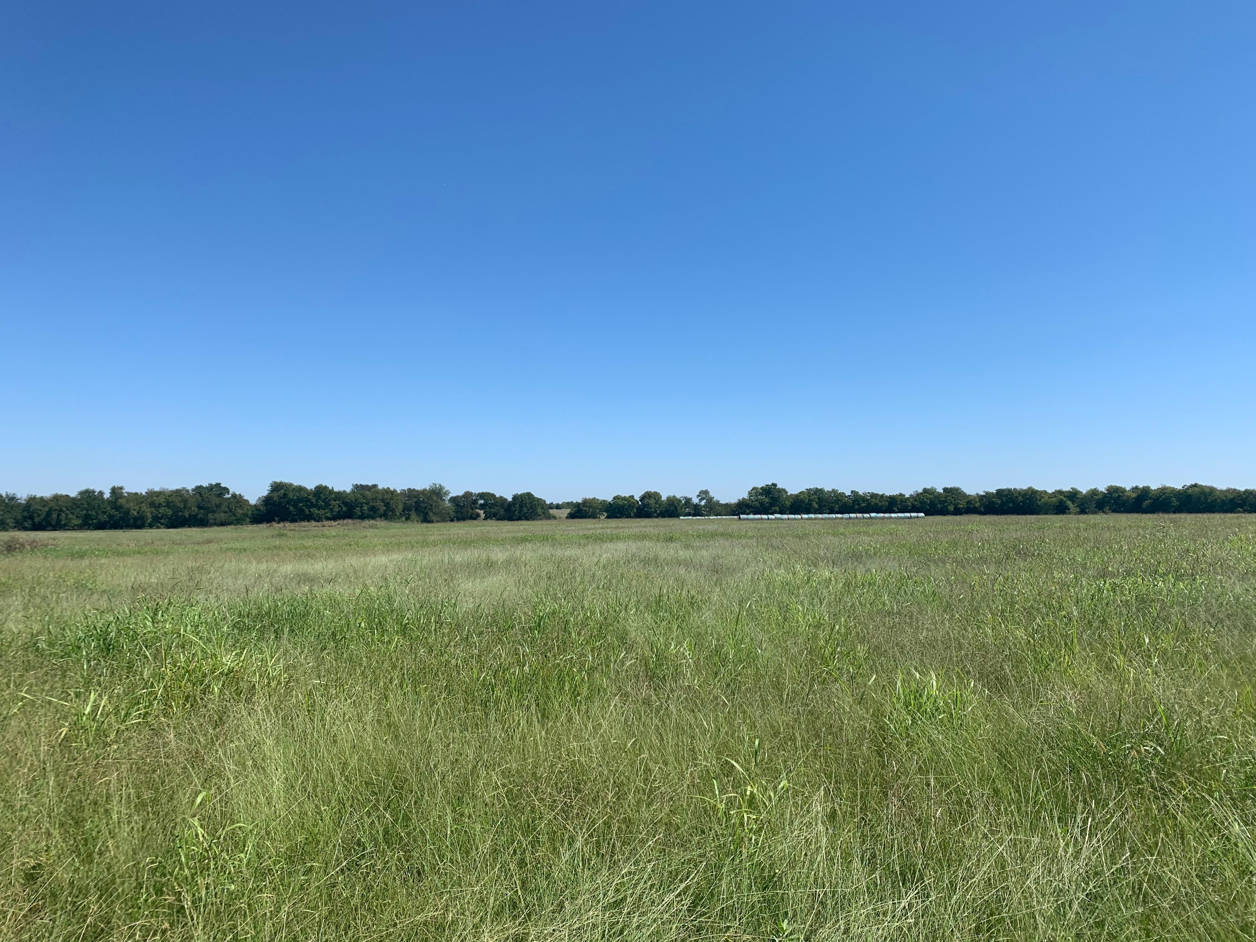 Pecan Gap, Delta County, TX Recreational Property, Undeveloped Land for
