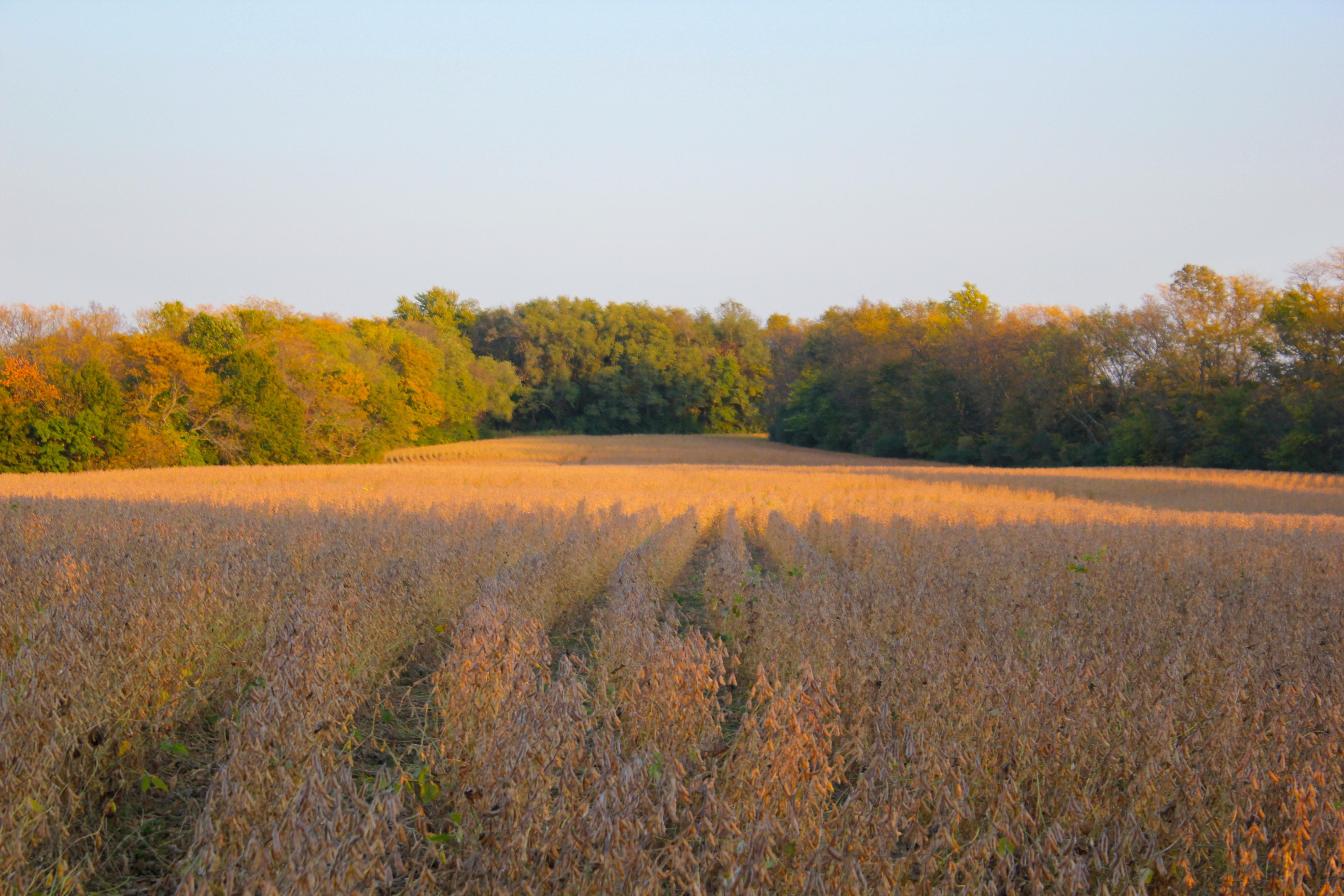 Lee's Summit, Jackson County, MO Farms and Ranches, Undeveloped Land, Hunting Property for sale