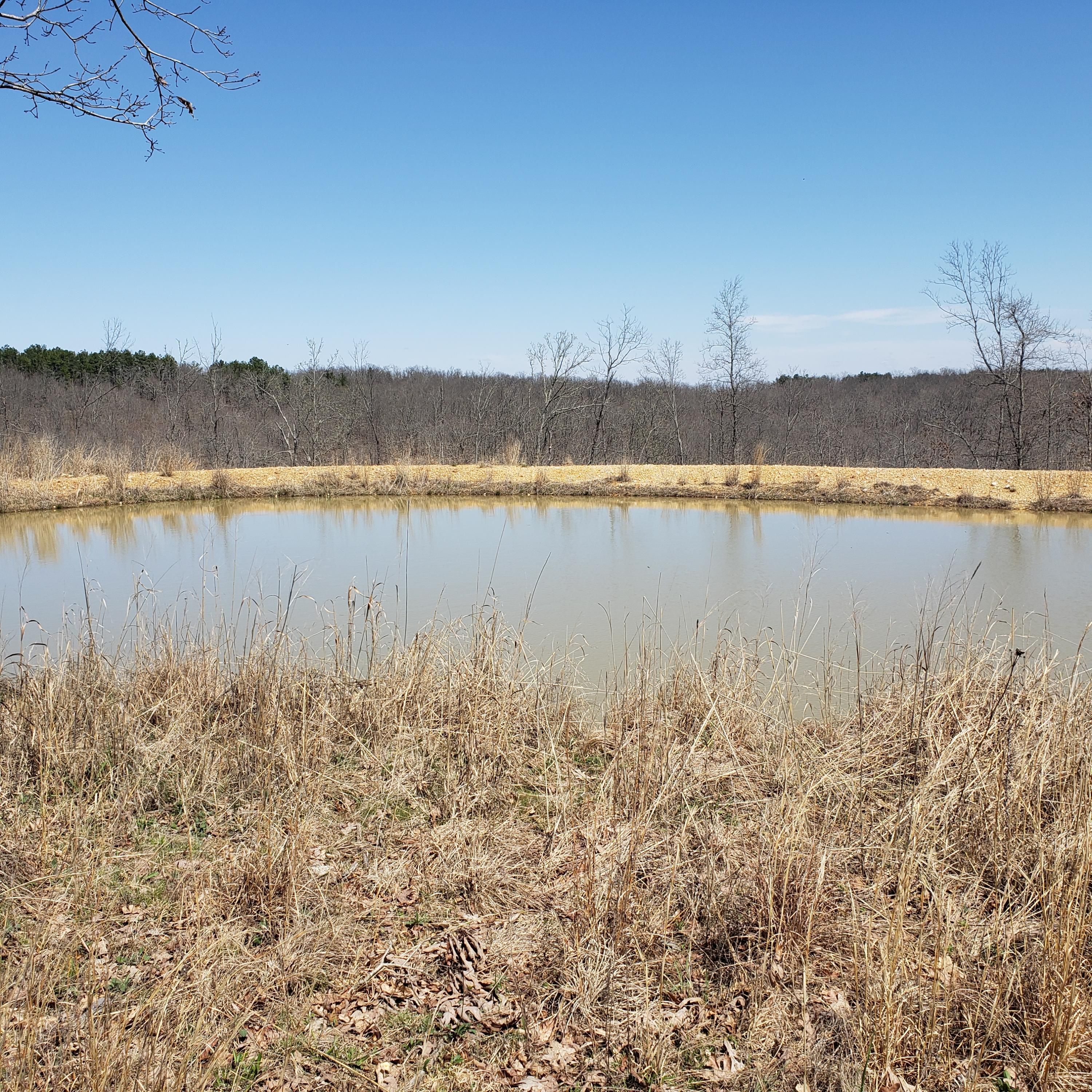Elk Creek, Texas County, MO Undeveloped Land for sale Property ID