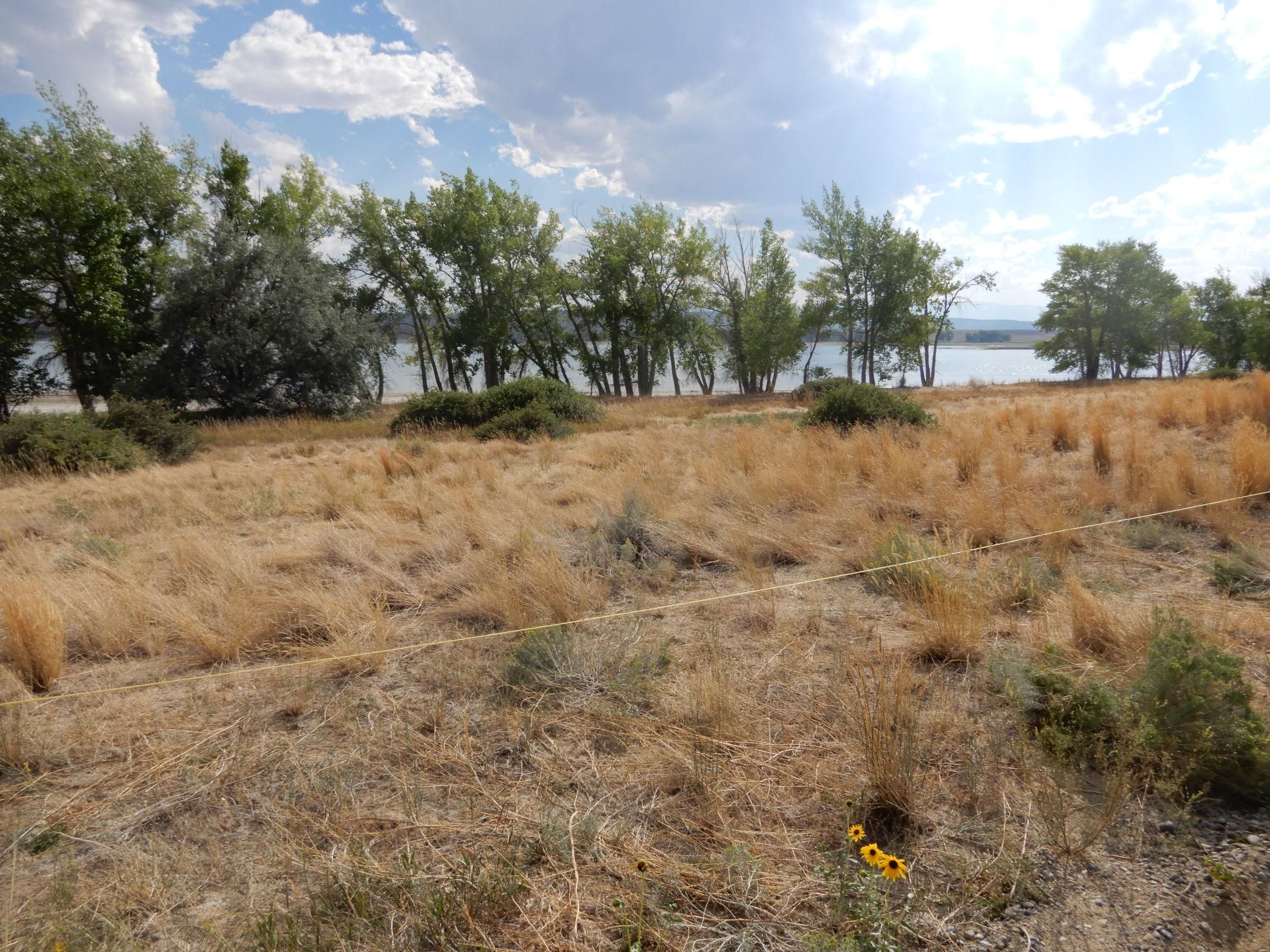198 Tipperary Road, Pavillion, WY 82523 MLS 20205769 LandWatch