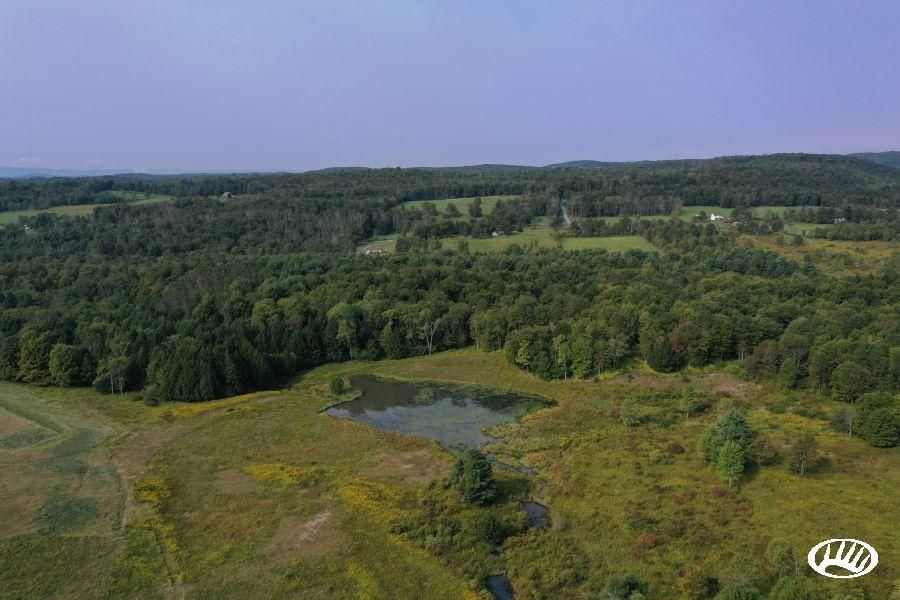 Hop Bottom, Susquehanna County, PA Recreational Property for sale