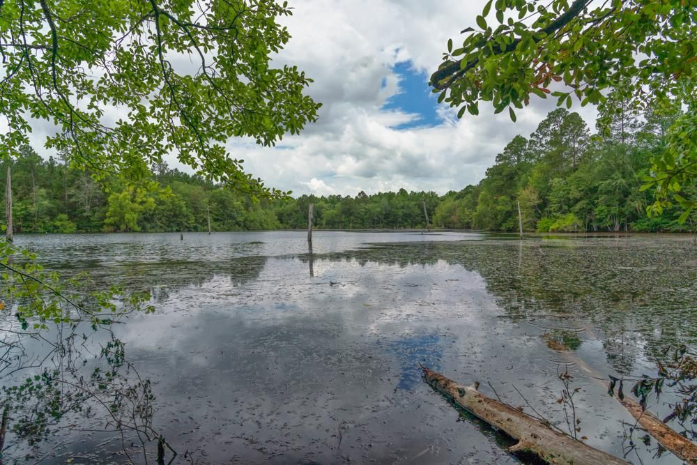 Metter, Candler County, GA Recreational Property, Timberland Property
