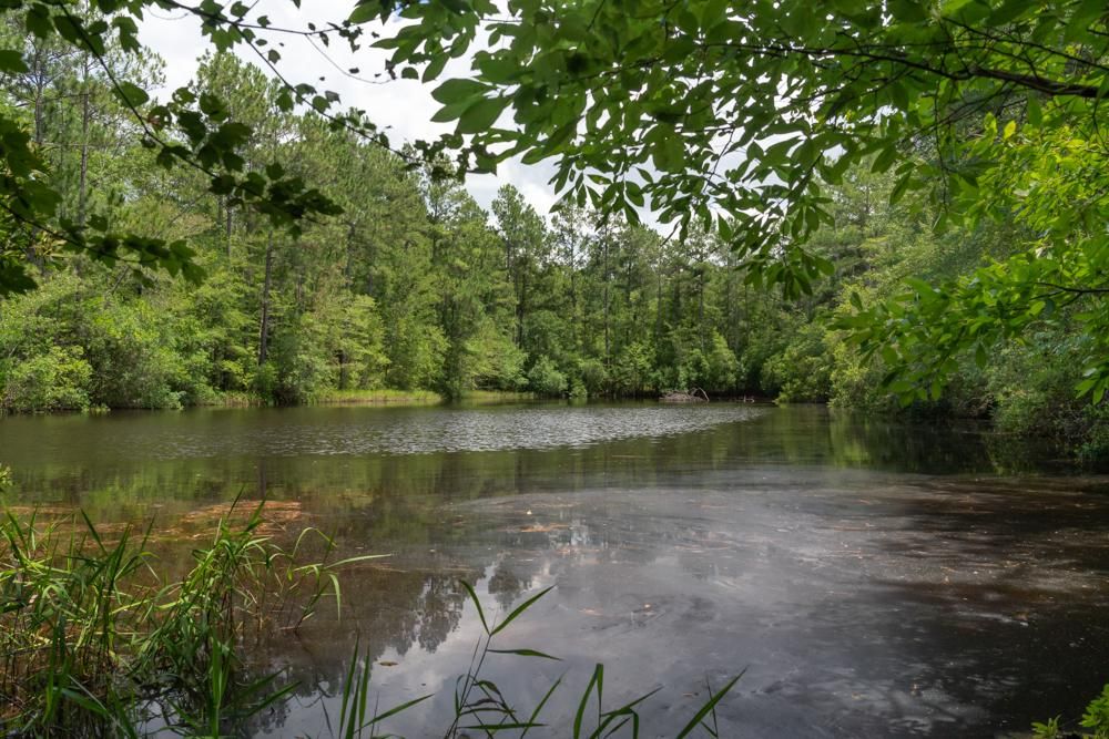 Metter, Candler County, GA Recreational Property, Timberland Property