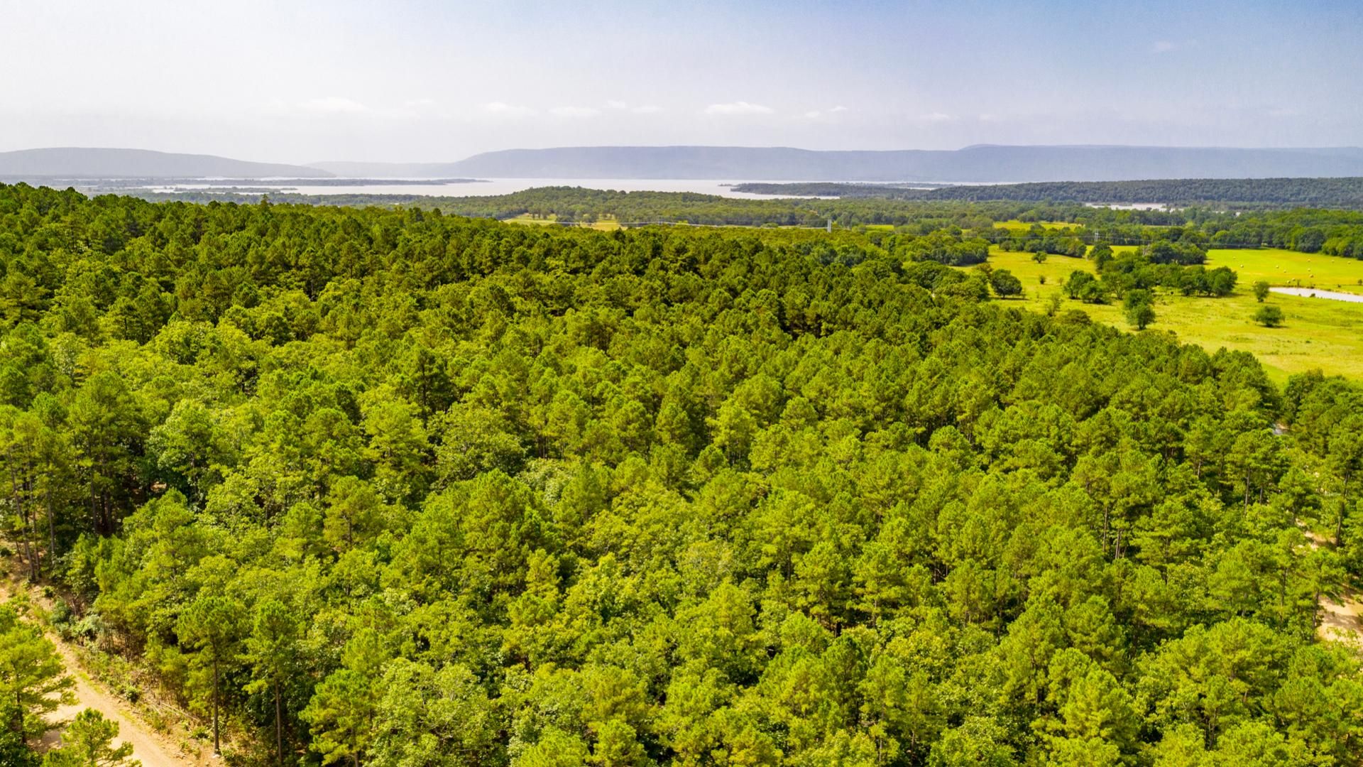 Tuskahoma, Latimer County, OK Recreational Property, Undeveloped Land