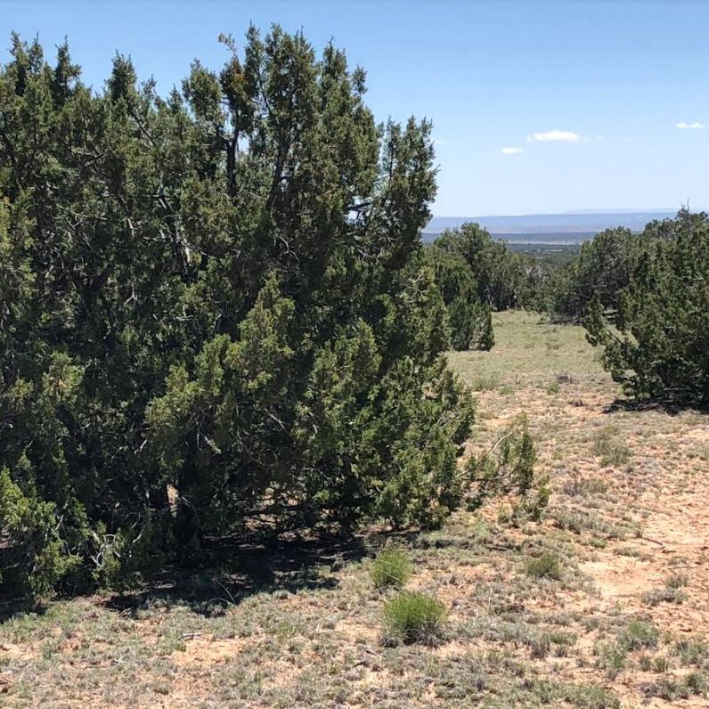 Chambers, Apache County, AZ Recreational Property, Undeveloped Land for
