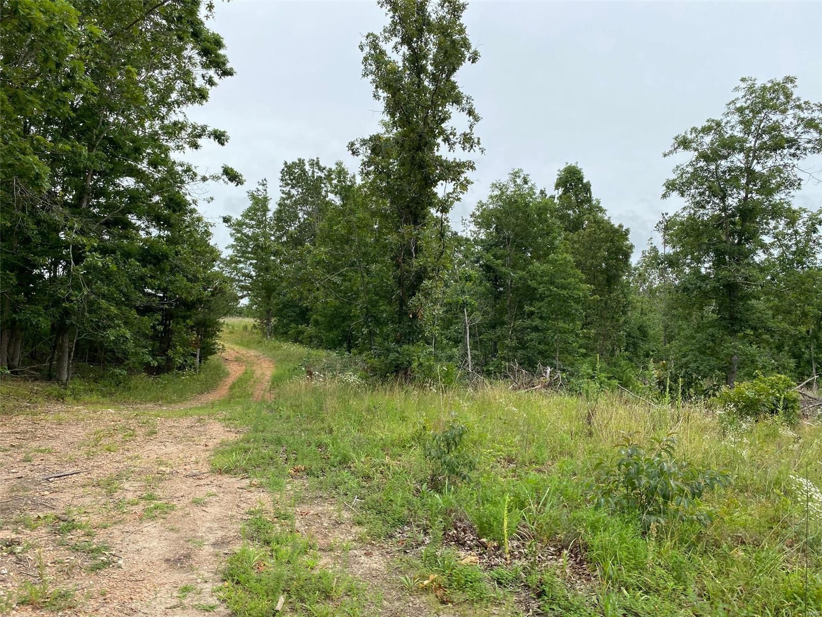 Raymondville, Texas County, MO Farms and Ranches for sale Property ID