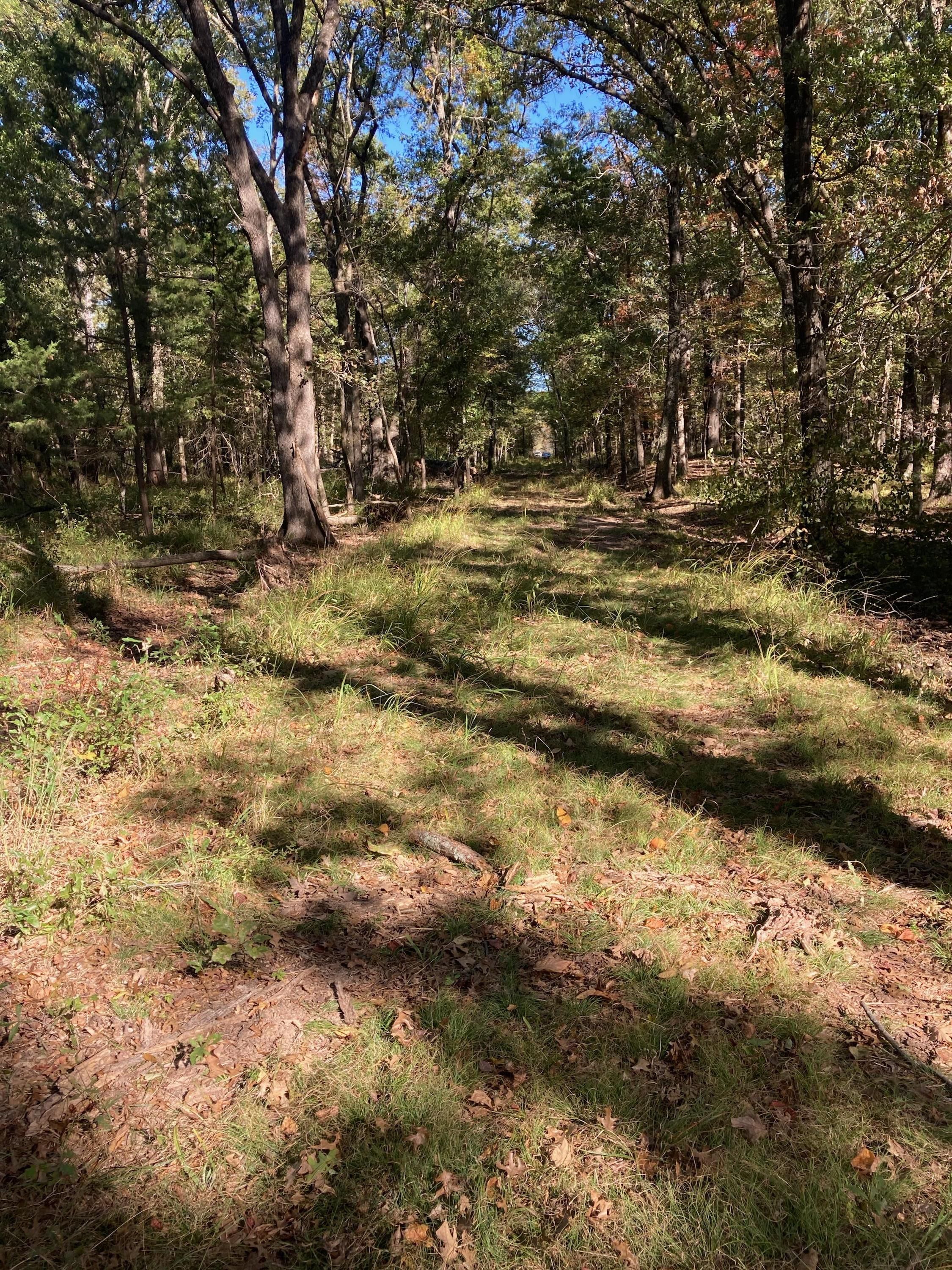 Talihina, Le Flore County, OK Recreational Property, Timberland Property, Hunting Property