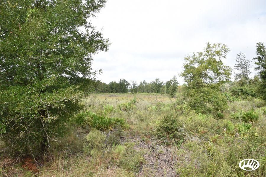 Newberry, Levy County, FL Recreational Property, Timberland Property