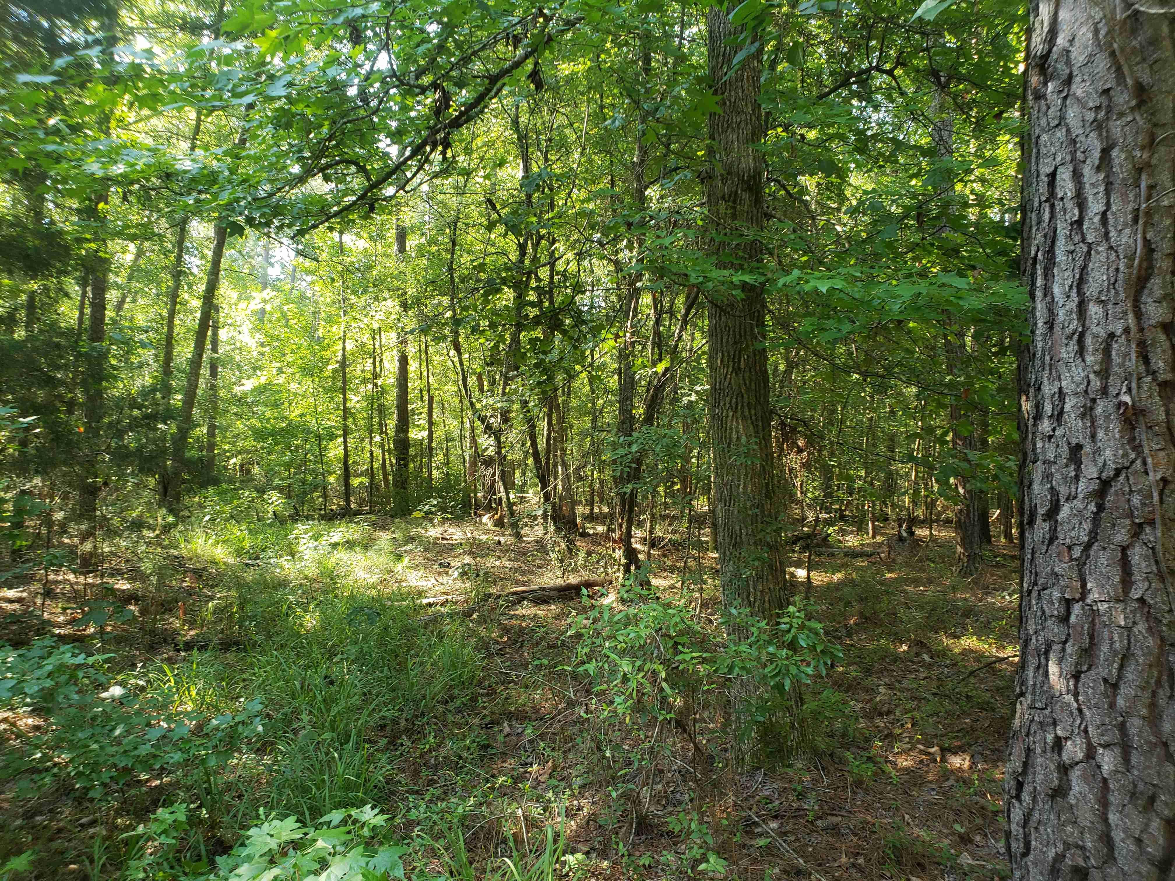 Letohatchee, Lowndes County, AL Recreational Property, Timberland