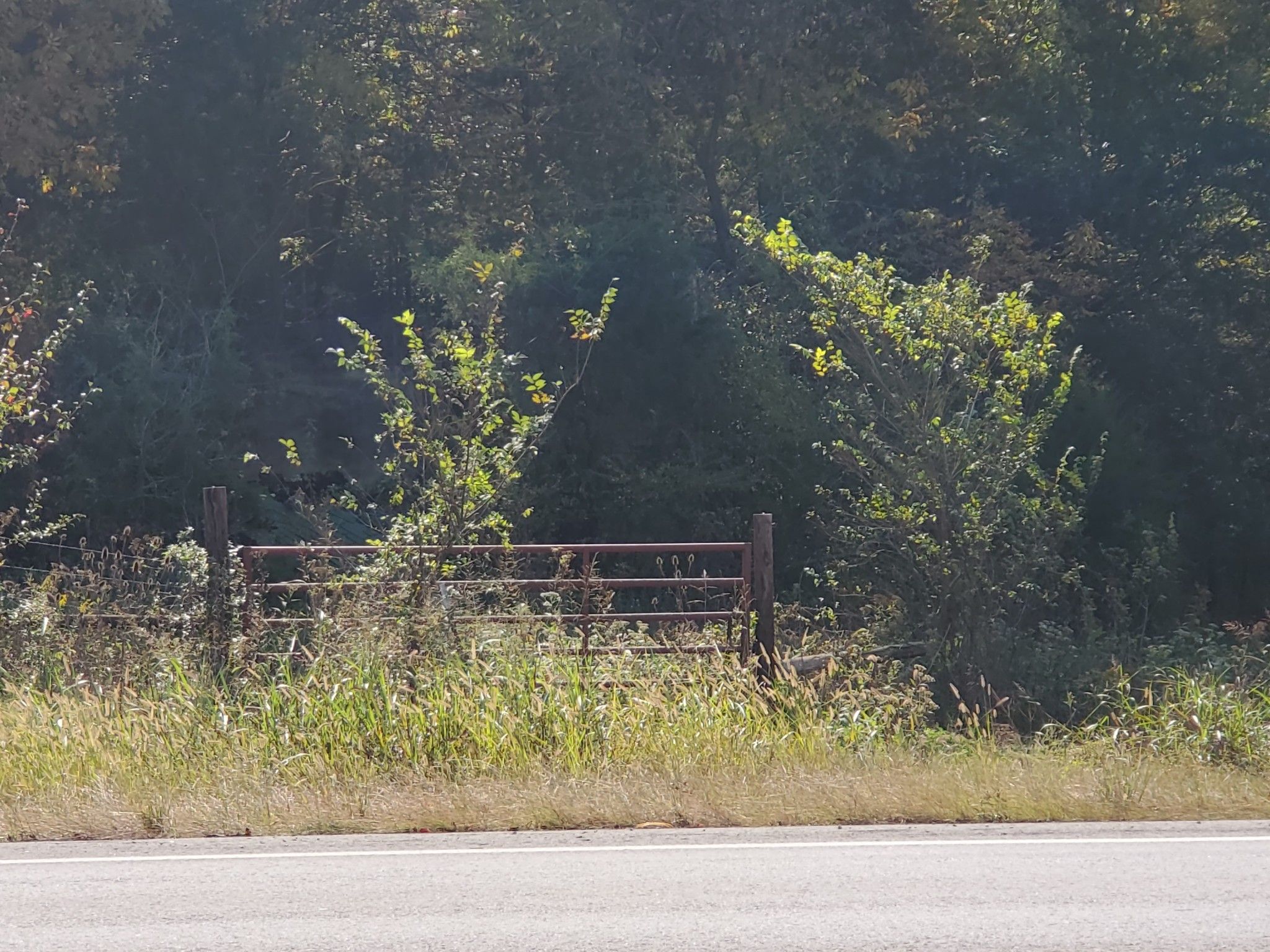 Pulaski, Giles County, TN Undeveloped Land for sale Property ID