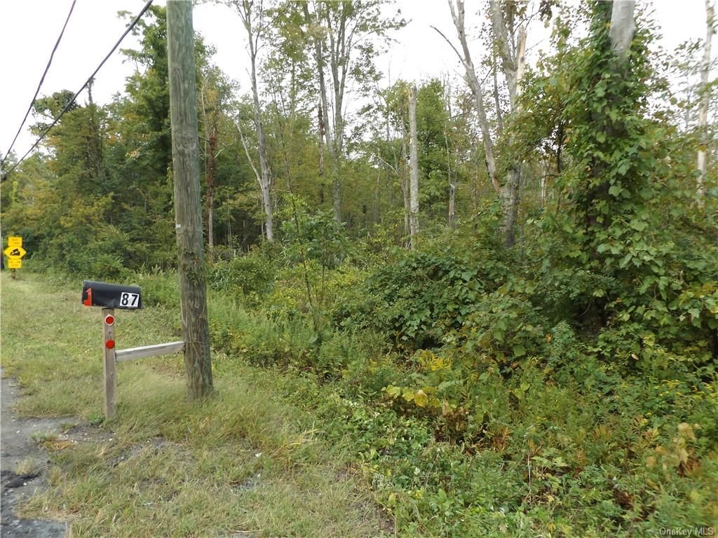 Putnam Valley, Putnam County, NY Undeveloped Land for sale Property ID