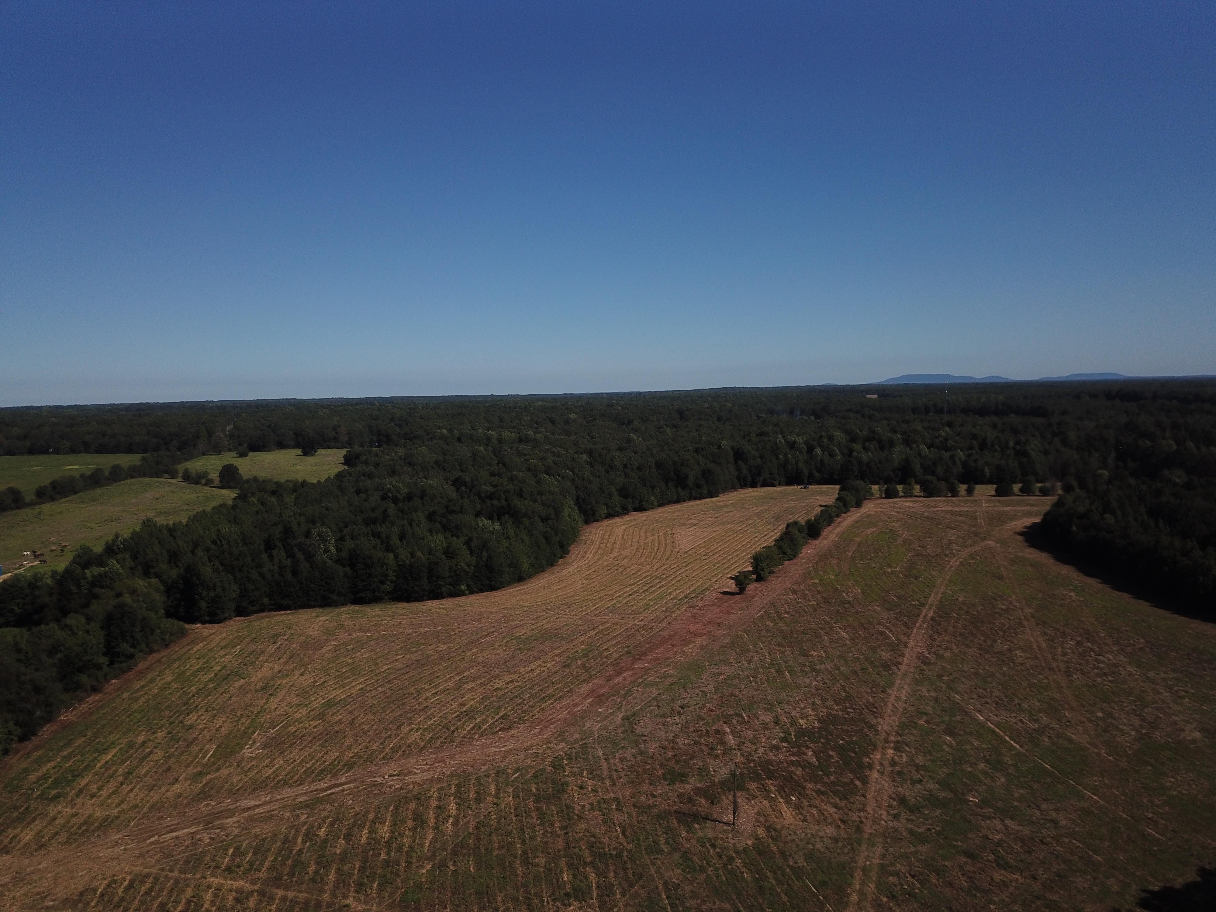 Beechgrove, Coffee County, TN Undeveloped Land for sale Property ID