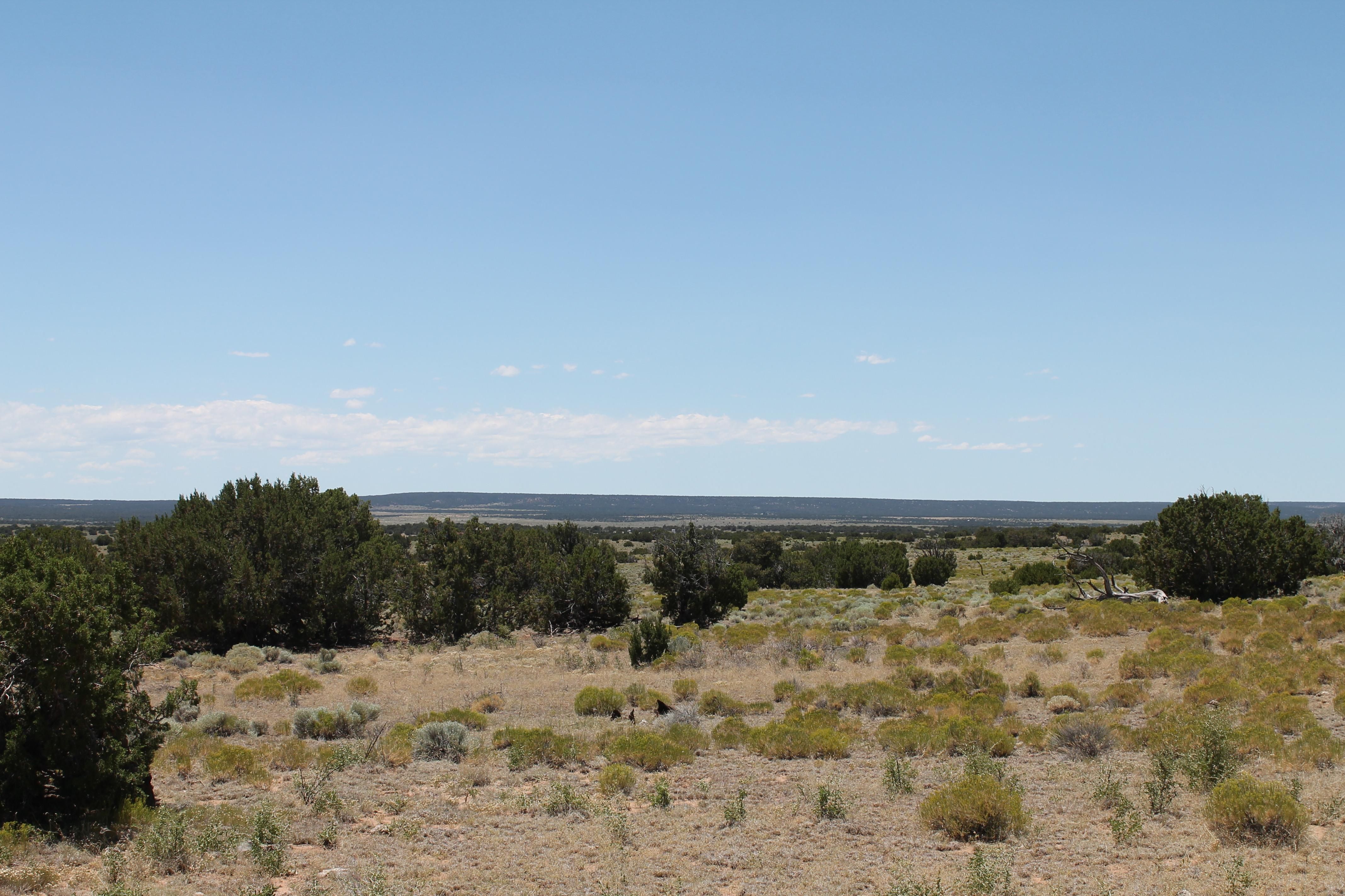 38 acres in Fence Lake, NM, 87315 LandWatch