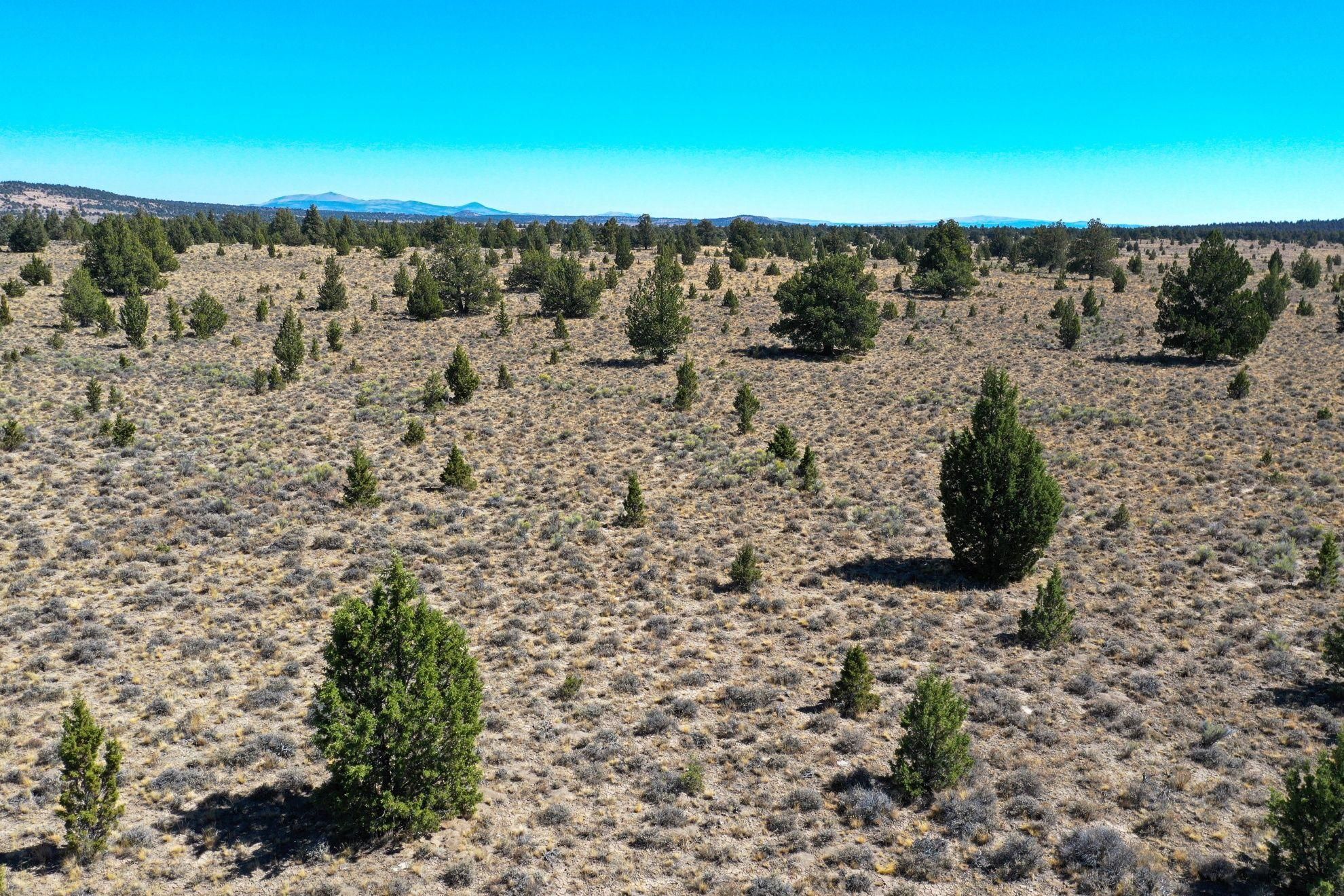 Christmas Valley, Lake County, OR Undeveloped Land for sale Property ID
