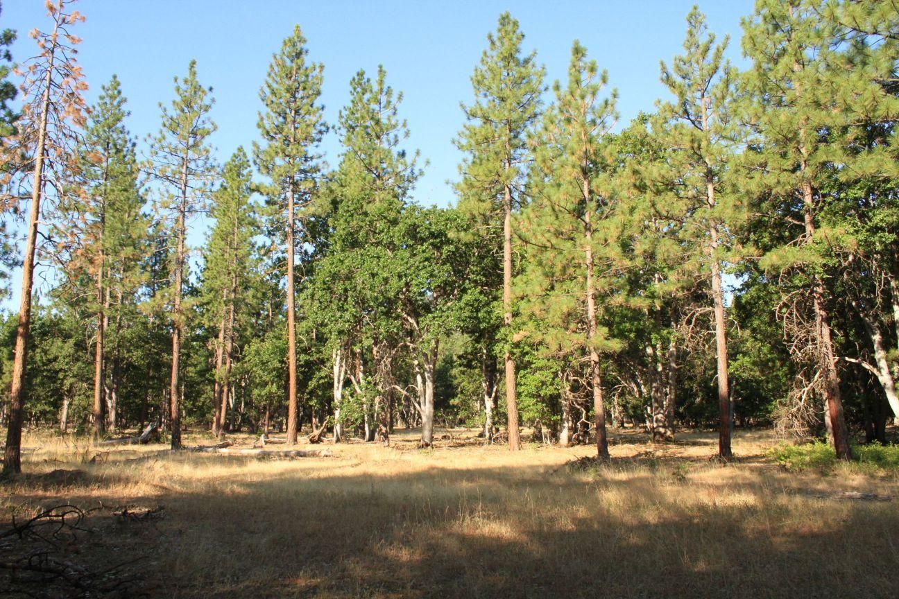 Fall River Mills, Shasta County, CA Recreational Property, Undeveloped