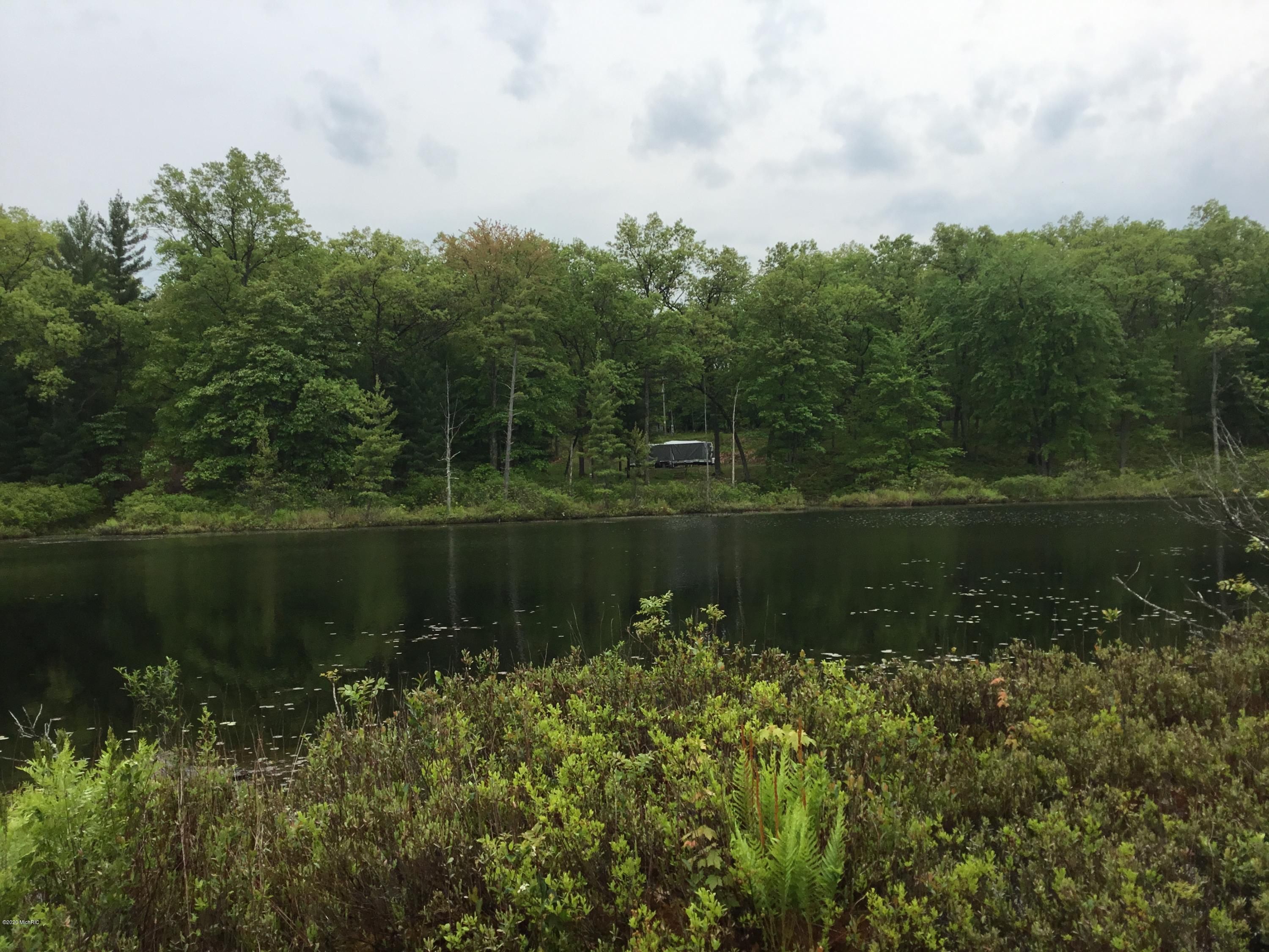 Bitely, Newaygo County, MI Undeveloped Land, Lakefront Property