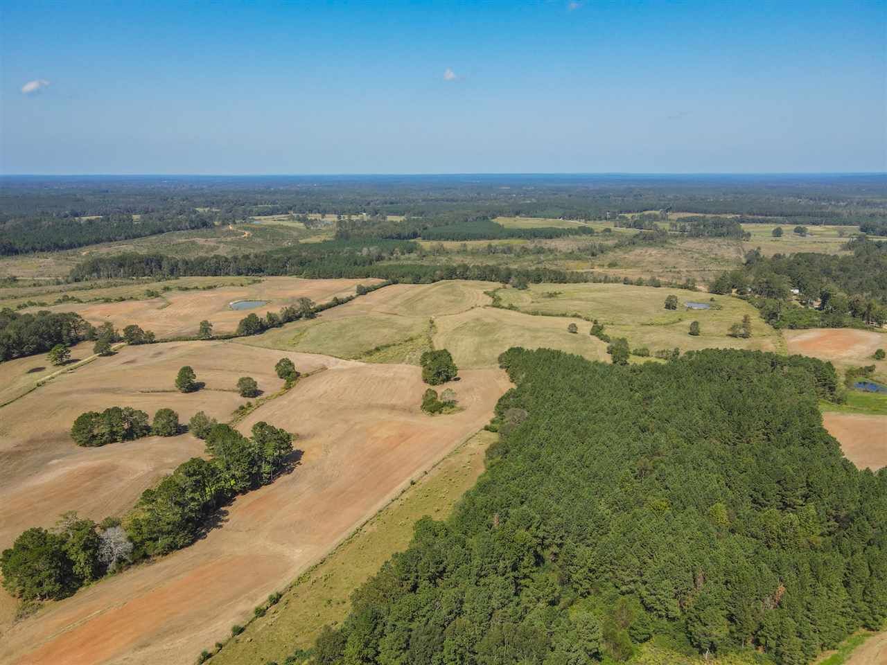Mize, Smith County, MS Undeveloped Land for sale Property ID 408650803