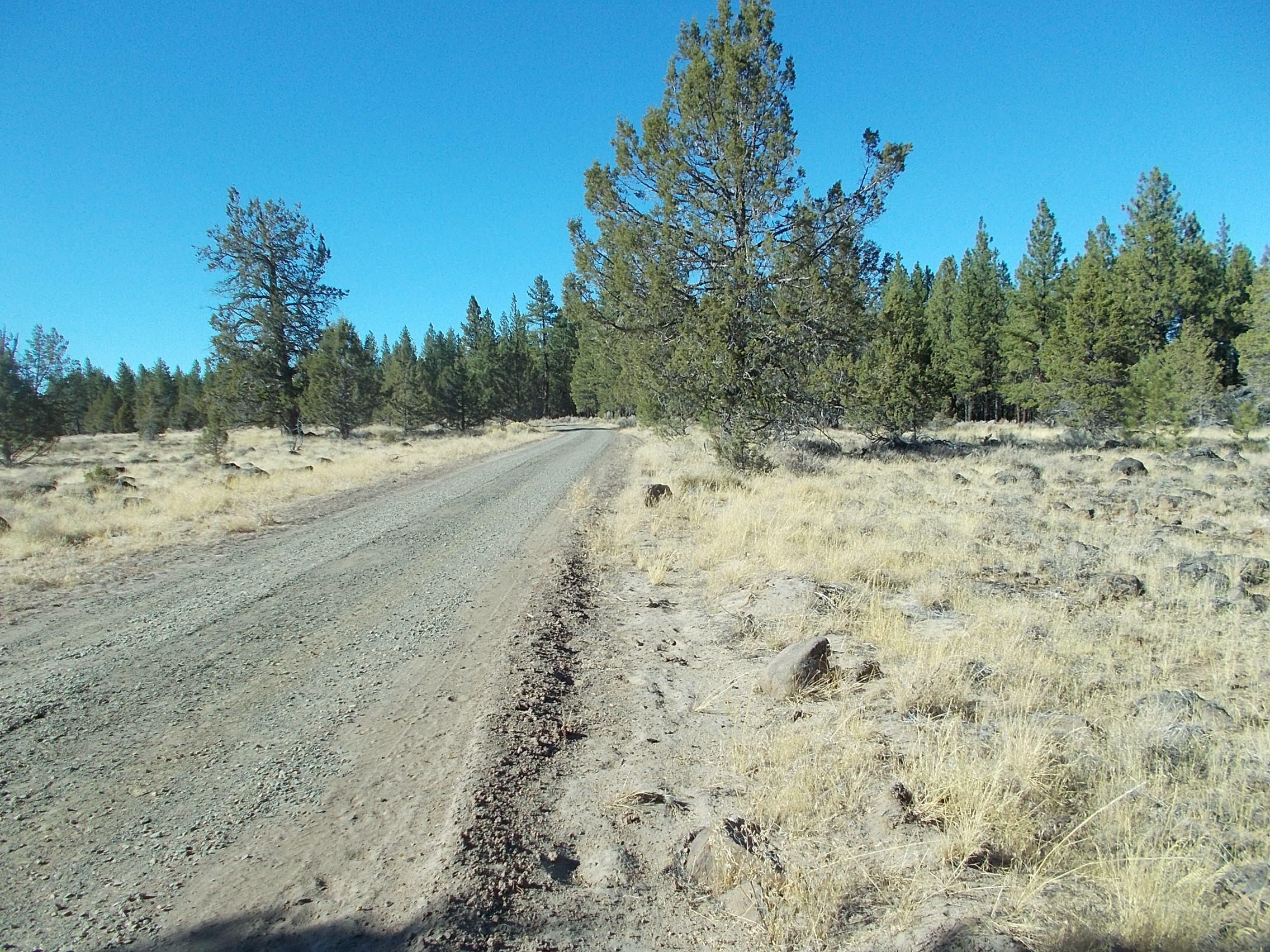 Bly, Klamath County, OR Undeveloped Land for sale Property ID
