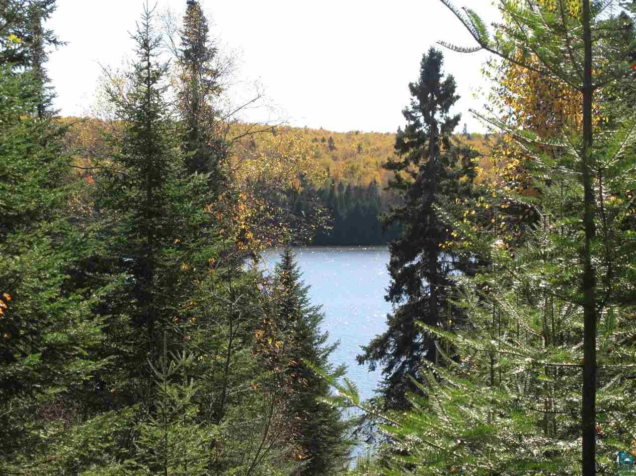 Lutsen, Cook County, MN Undeveloped Land, Lakefront Property