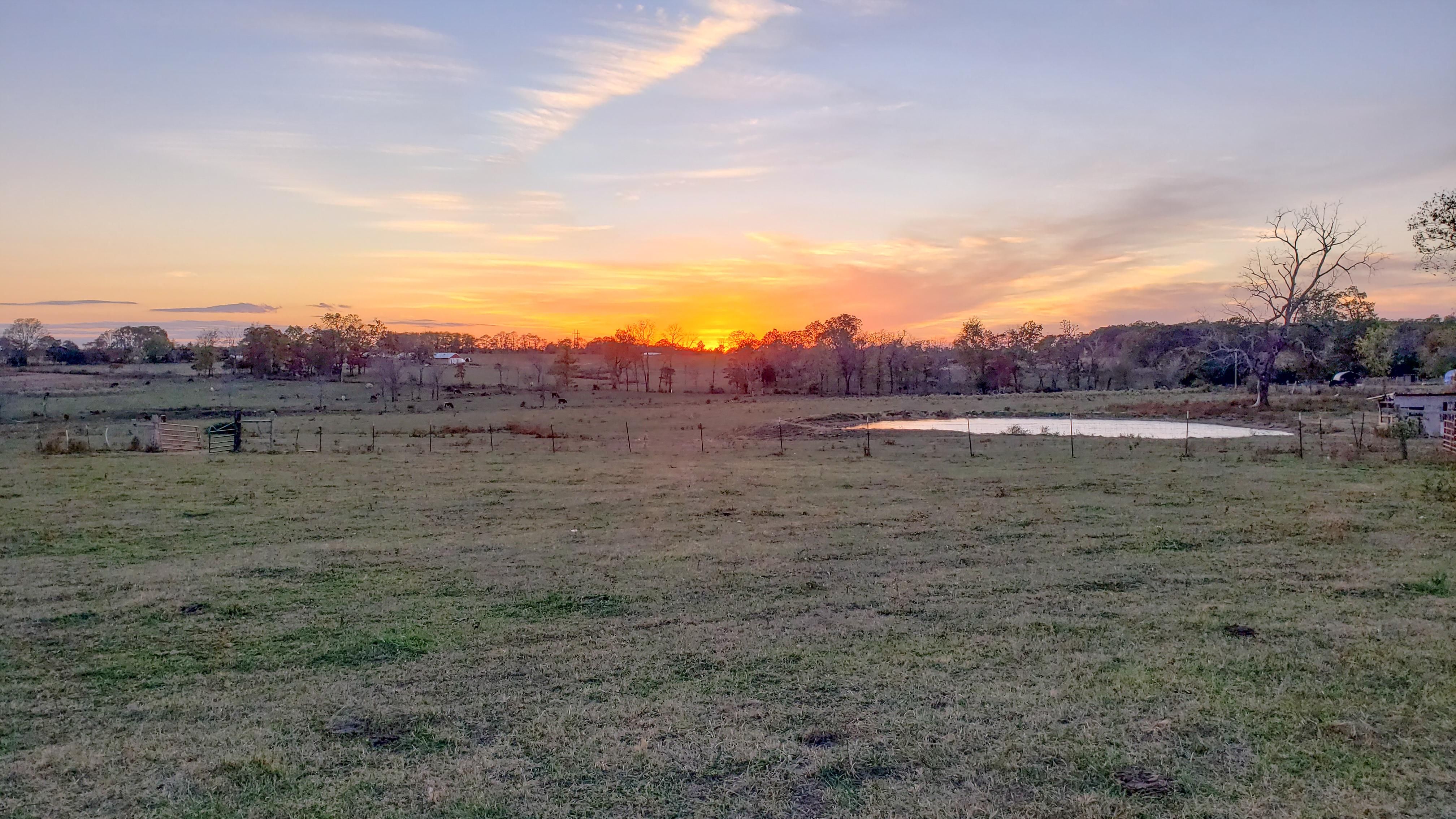 Hartville, Wright County, MO Farms and Ranches, Hunting Property, House