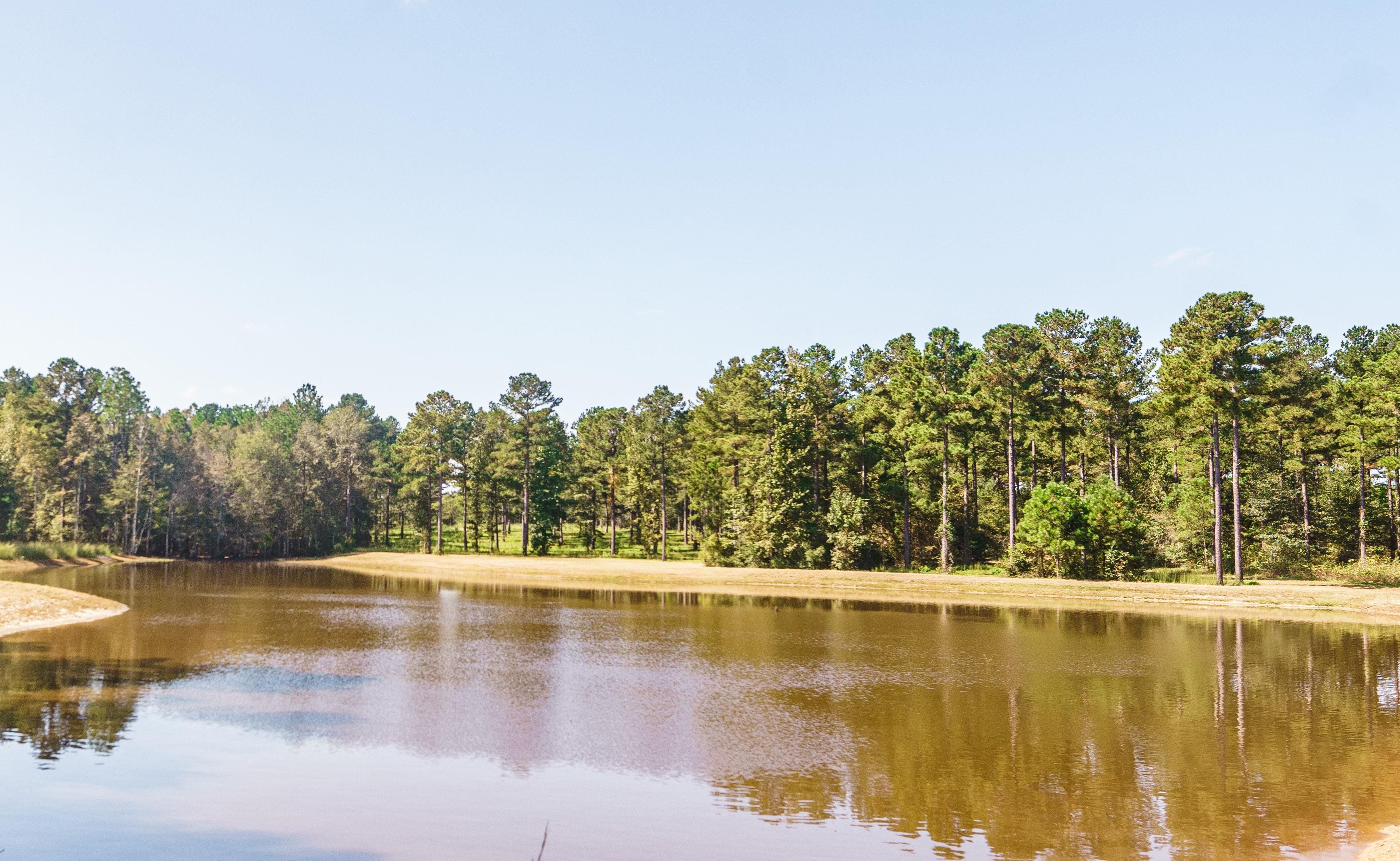 Metter, Candler County, GA Recreational Property, Timberland Property, Hunting Property for sale