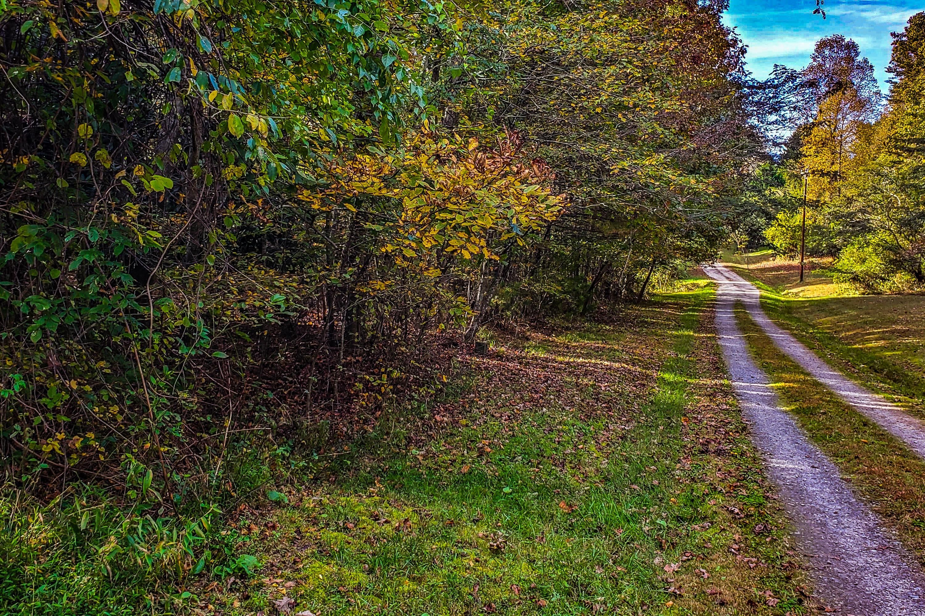 Traphill, Wilkes County, NC Undeveloped Land, Homesites for sale