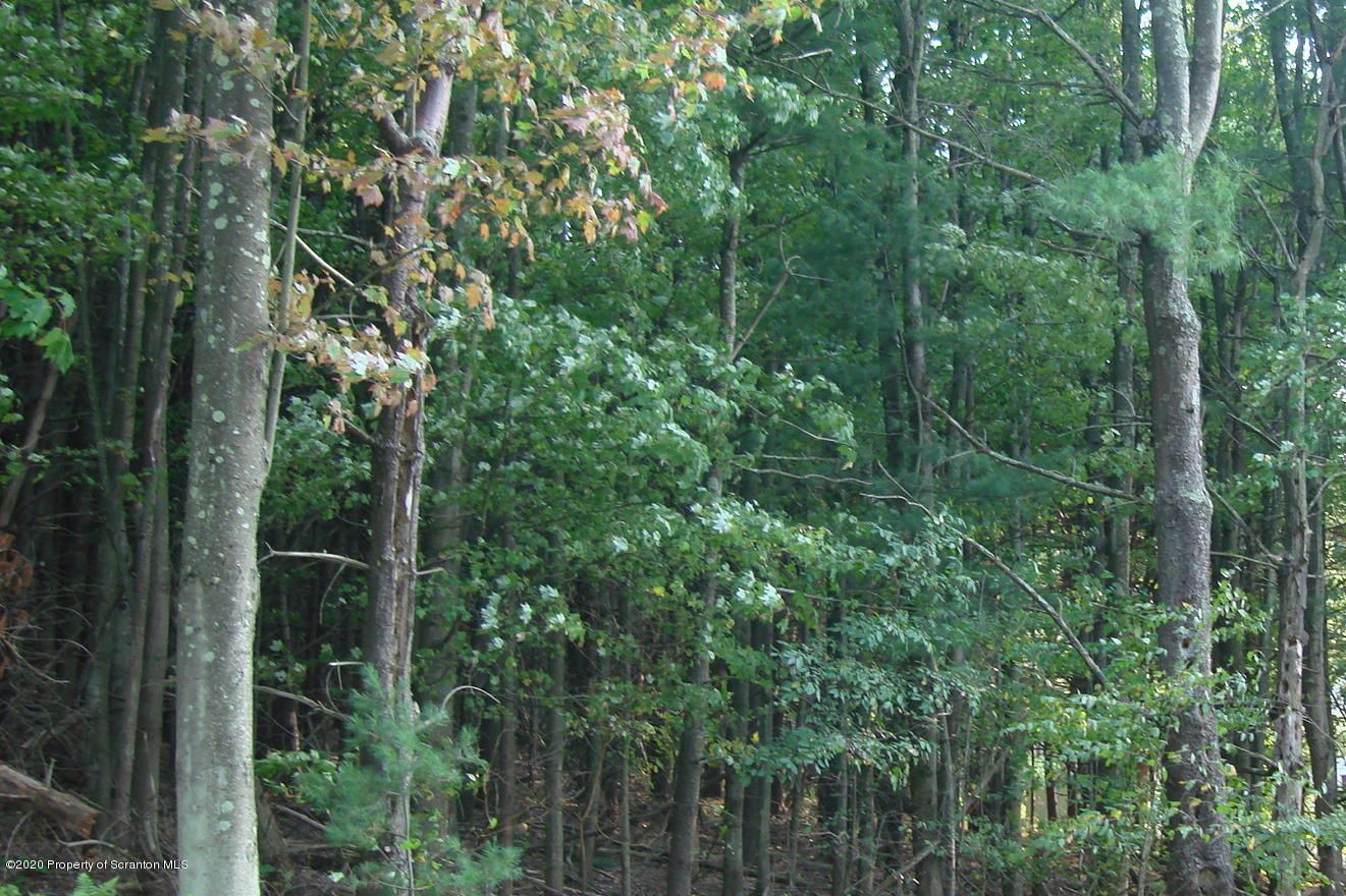 Little Meadows, Susquehanna County, PA Undeveloped Land for sale