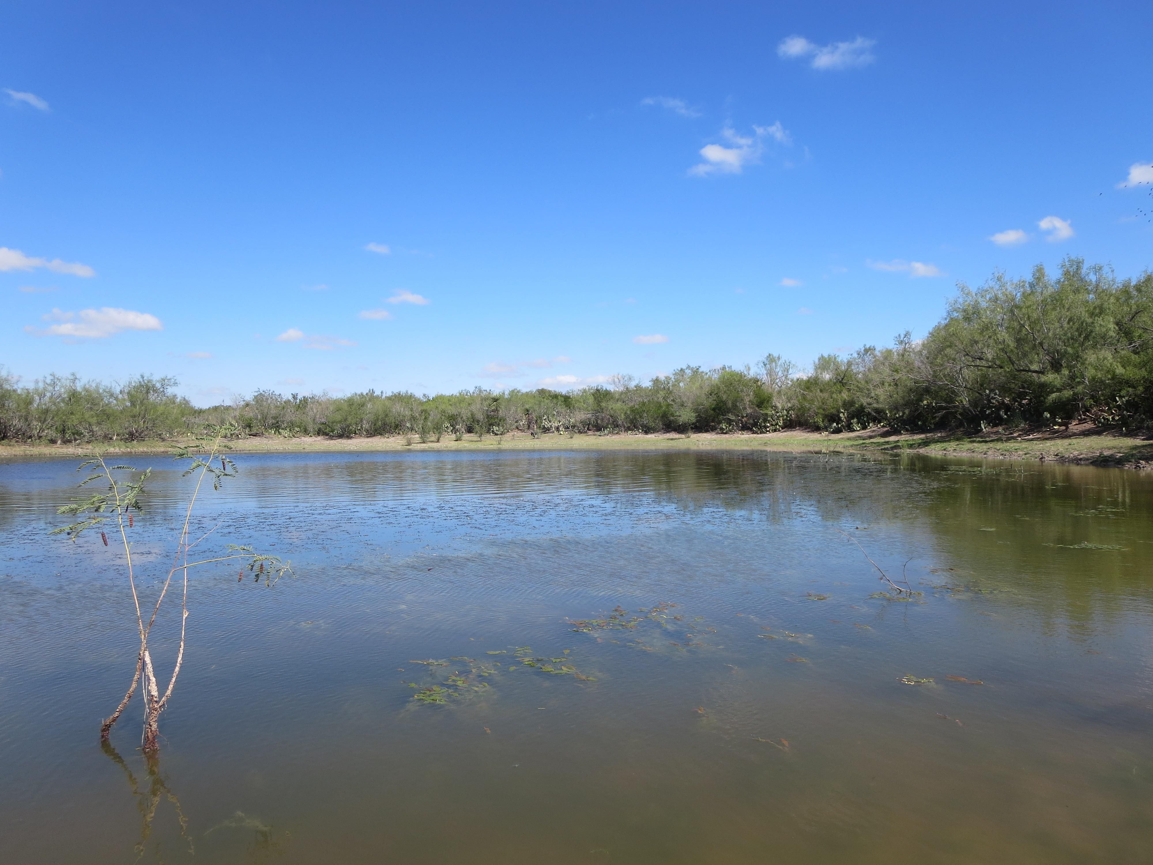 San Ygnacio, Zapata County, TX Farms and Ranches for sale Property ID