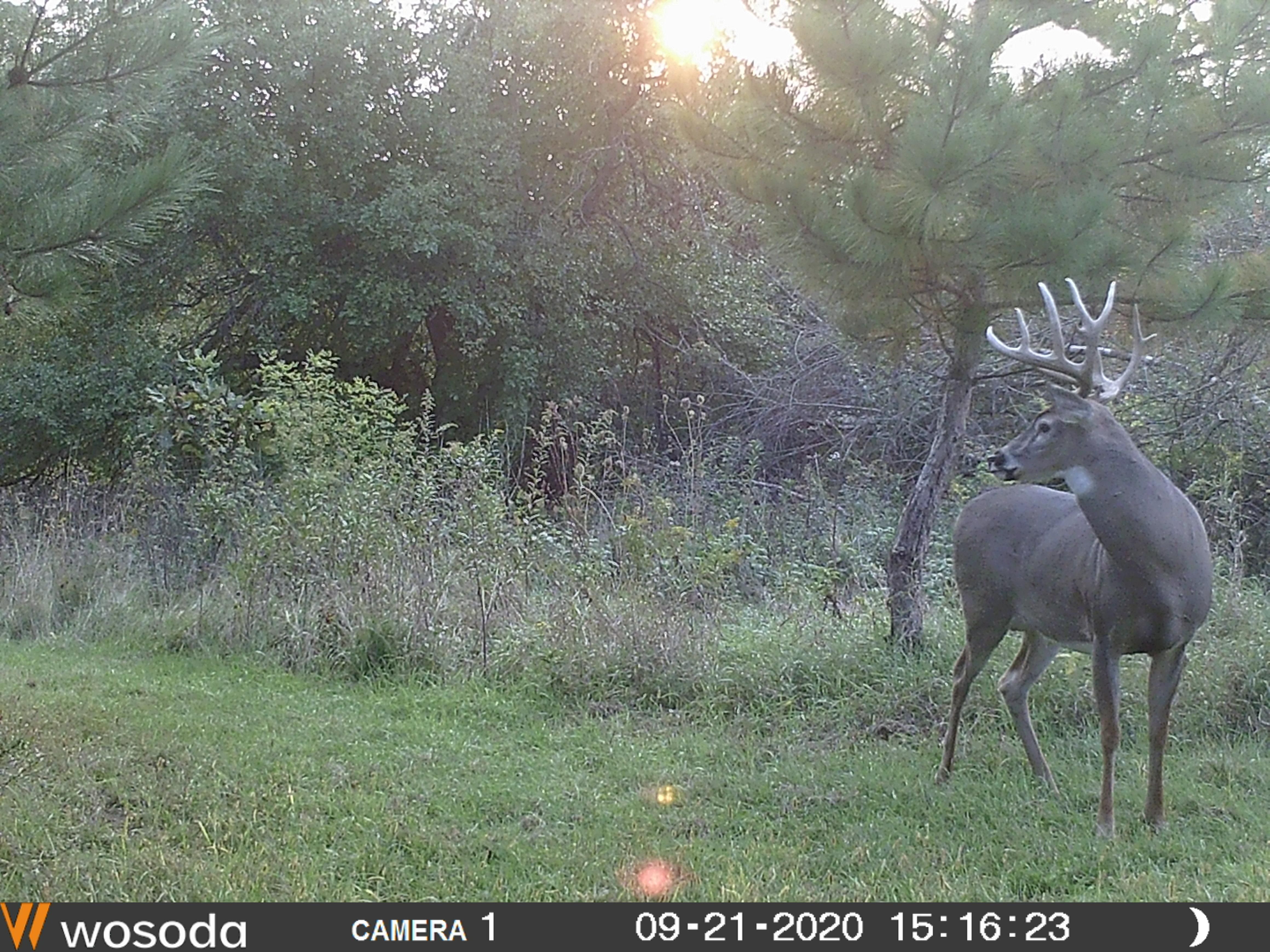 Blanchardville, Green County, WI Recreational Property, Hunting