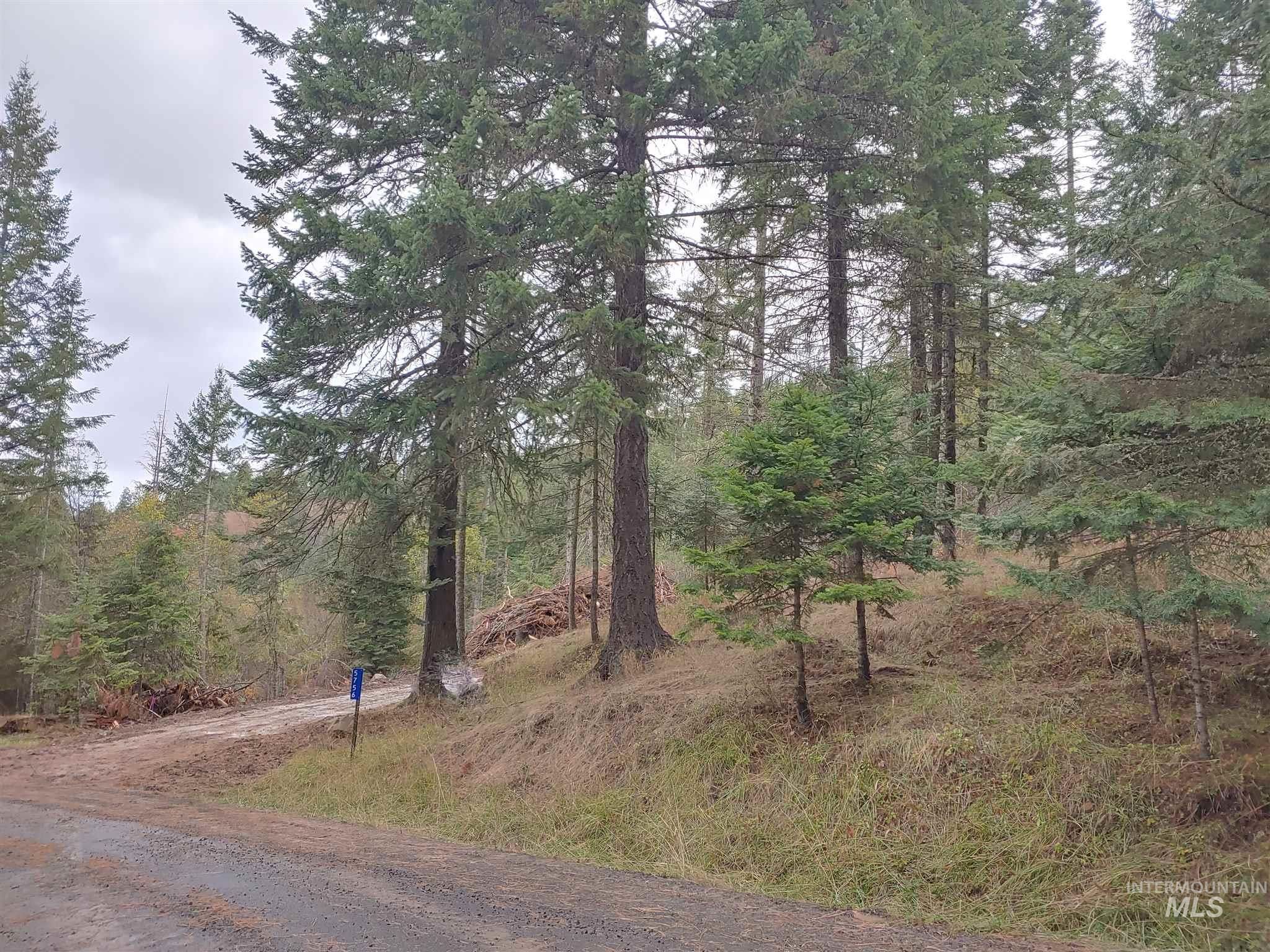 Orofino, Clearwater County, ID Farms and Ranches, Homesites for sale Property ID 408666582