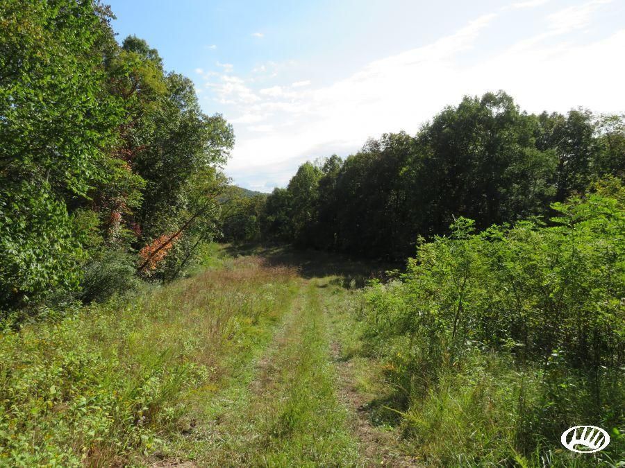 Little Blue Creek Road and Elk River Road, Clendenin, WV 25045 LandWatch
