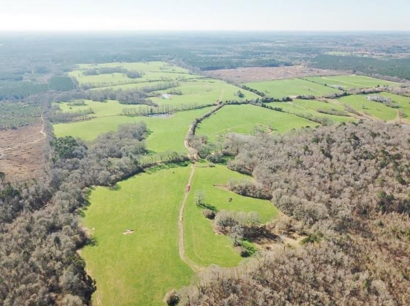 Centreville, Amite County, MS Farms and Ranches, Hunting Property for