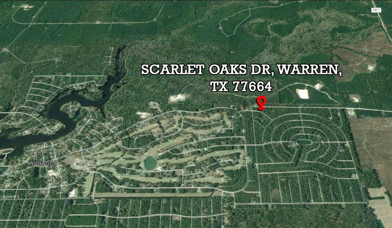 Warren, Tyler County, TX Recreational Property, Undeveloped Land