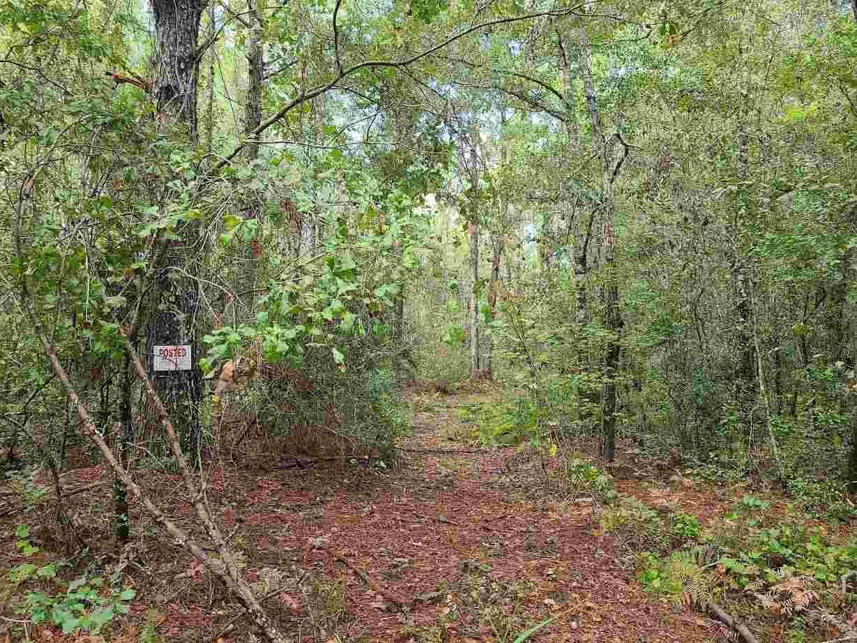 Madison, Madison County, FL Recreational Property, Undeveloped Land