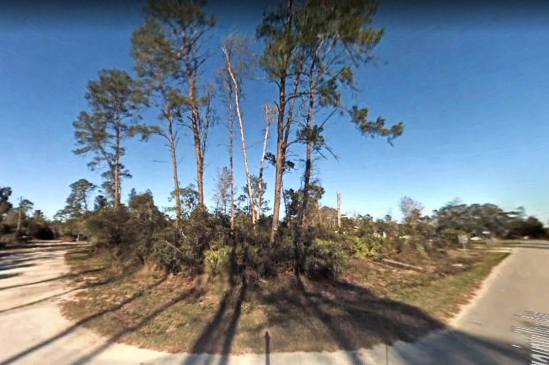 Paisley, Lake County, FL Homesites for sale Property ID 408669115 LandWatch