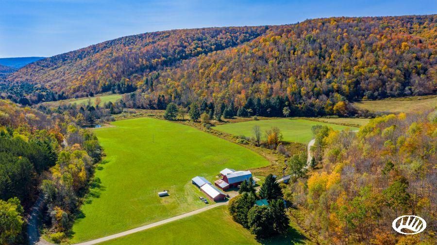 Ulysses, Potter County, PA Recreational Property, Timberland Property