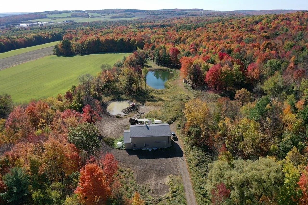 Dansville, Livingston County, NY Timberland Property, Commercial Property, House for sale