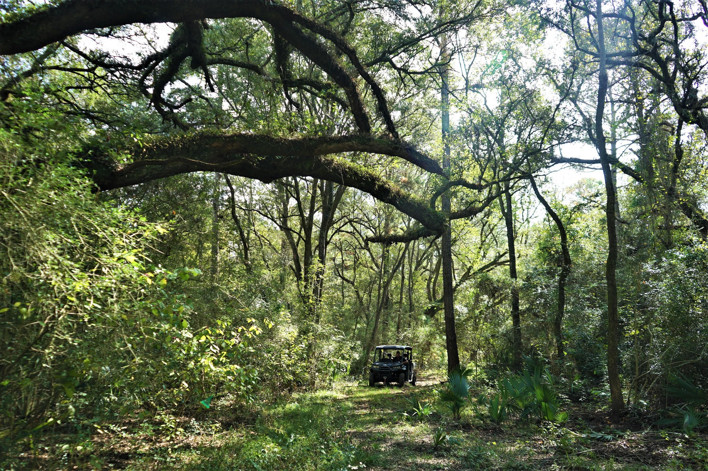 Crosby, Harris County, TX Farms and Ranches, Undeveloped Land