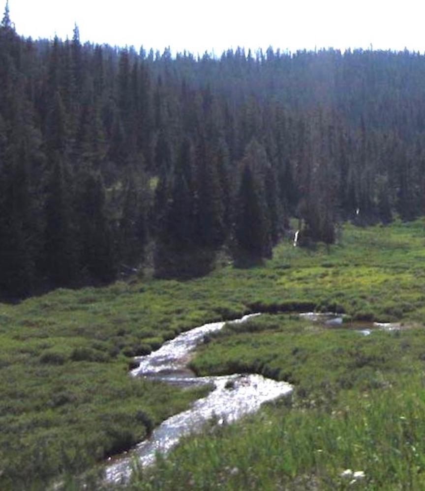 40 acres in Gould, CO, 80480 LandWatch