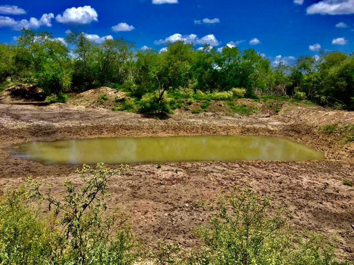 Freer, Duval County, TX Farms and Ranches, Recreational Property