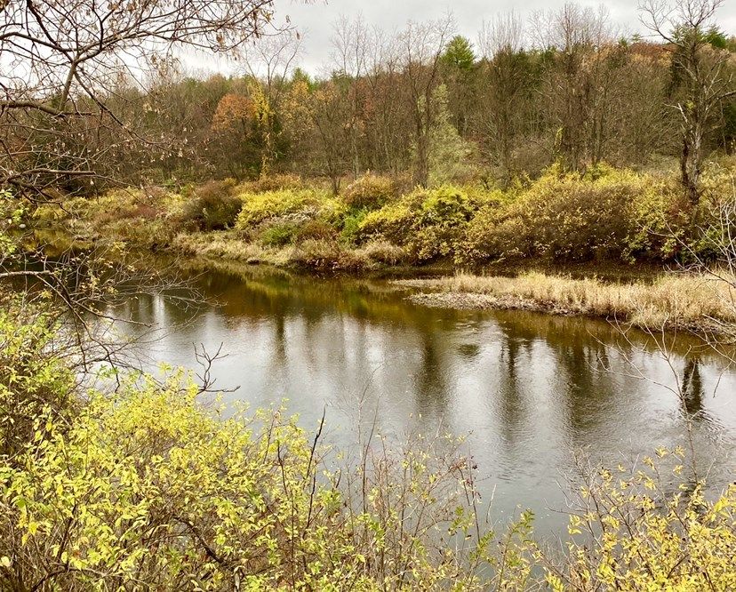 Springfield, Windsor County, VT Undeveloped Land, Lakefront Property
