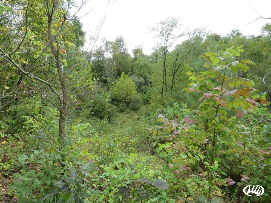 Walker, Wood County, WV Recreational Property, Timberland Property