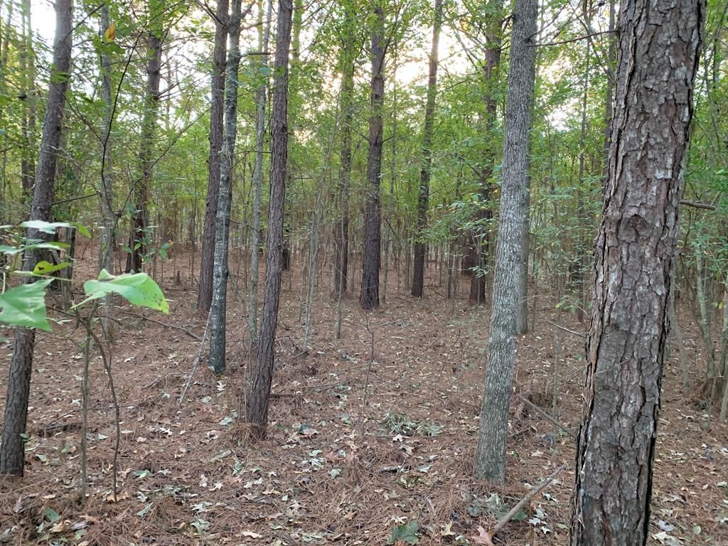 Hazlehurst, Copiah County, MS Undeveloped Land for sale Property ID