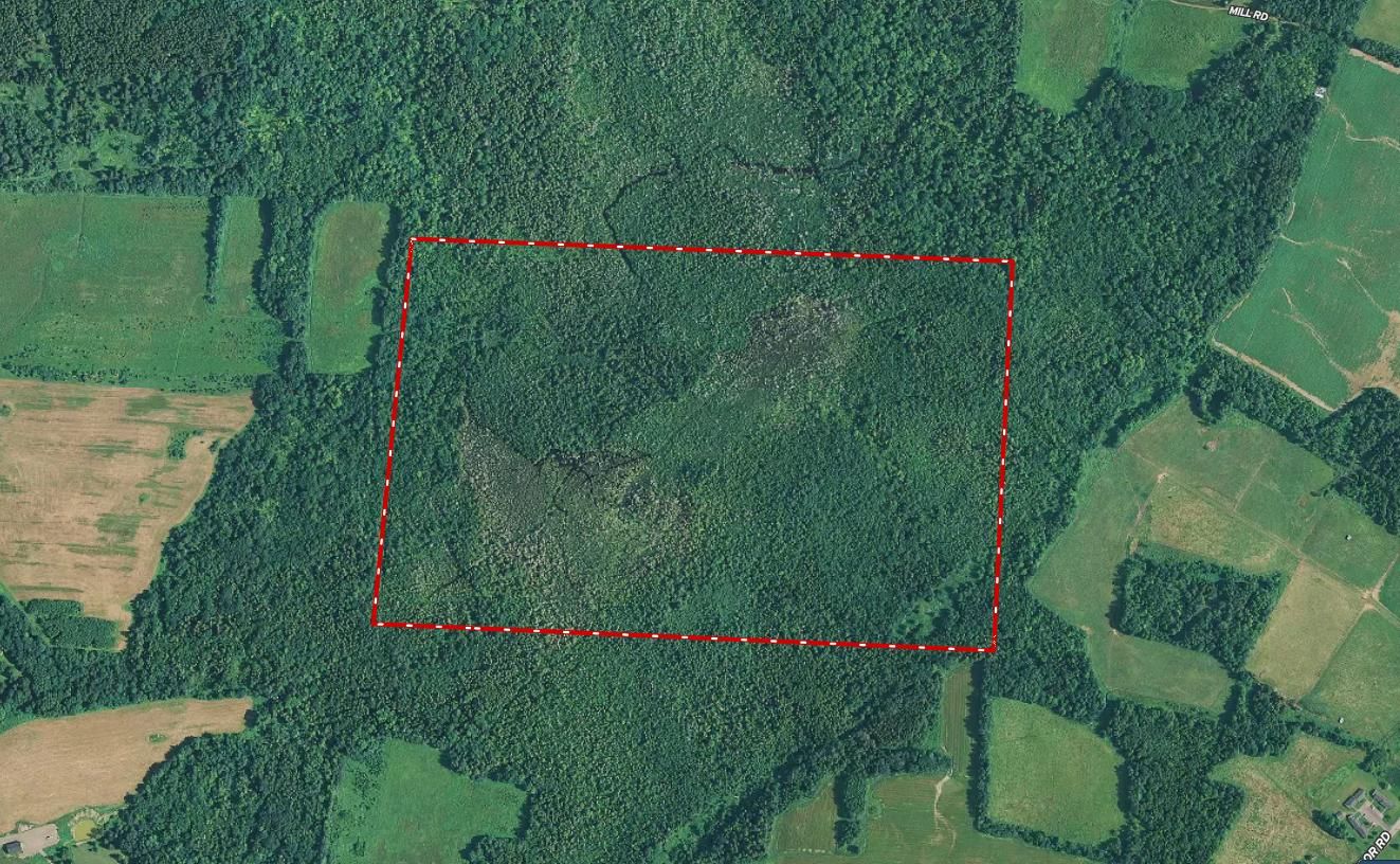 Linneus, Aroostook County, ME Undeveloped Land, Lakefront Property, Waterfront Property for sale